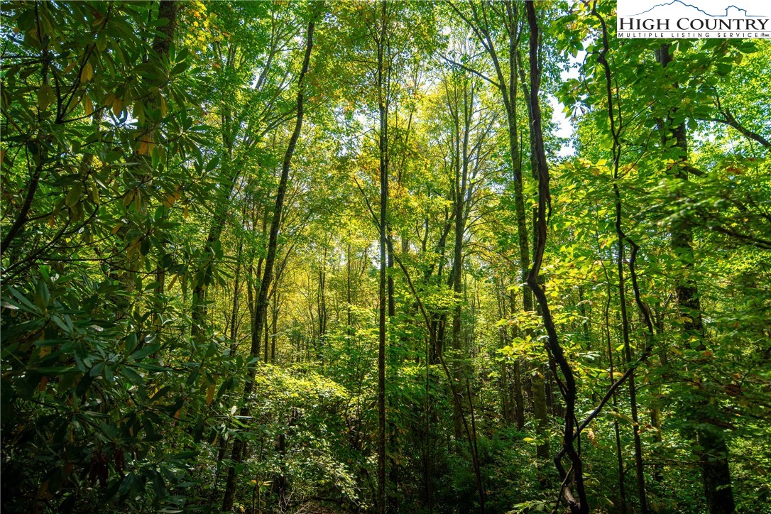 Timber Ridge Road Sugar Grove, NC 28679 - Photo 24 of 25