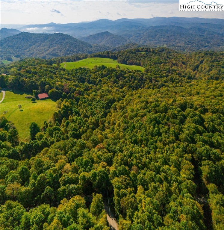 Timber Ridge Road Sugar Grove, NC 28679 - Photo 4 of 25