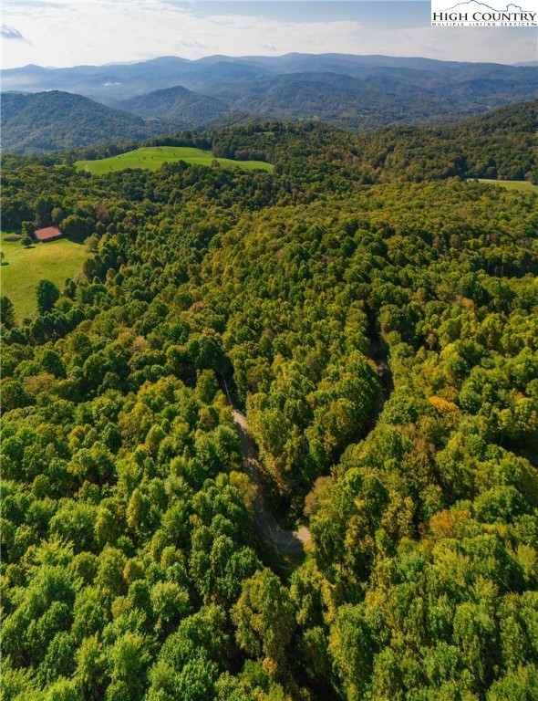 Timber Ridge Road Sugar Grove, NC 28679 - Photo 5 of 25