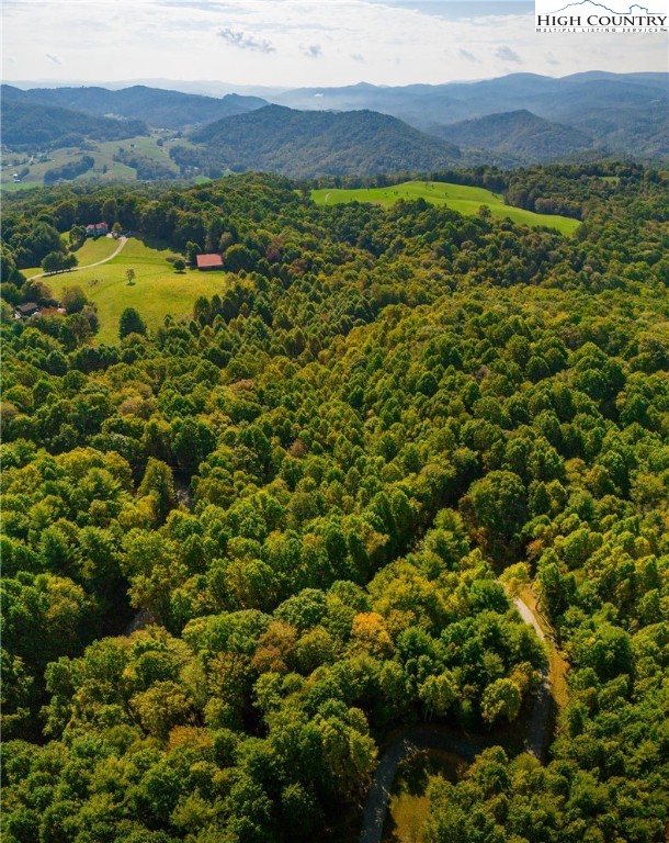 Timber Ridge Road Sugar Grove, NC 28679 - Photo 7 of 25