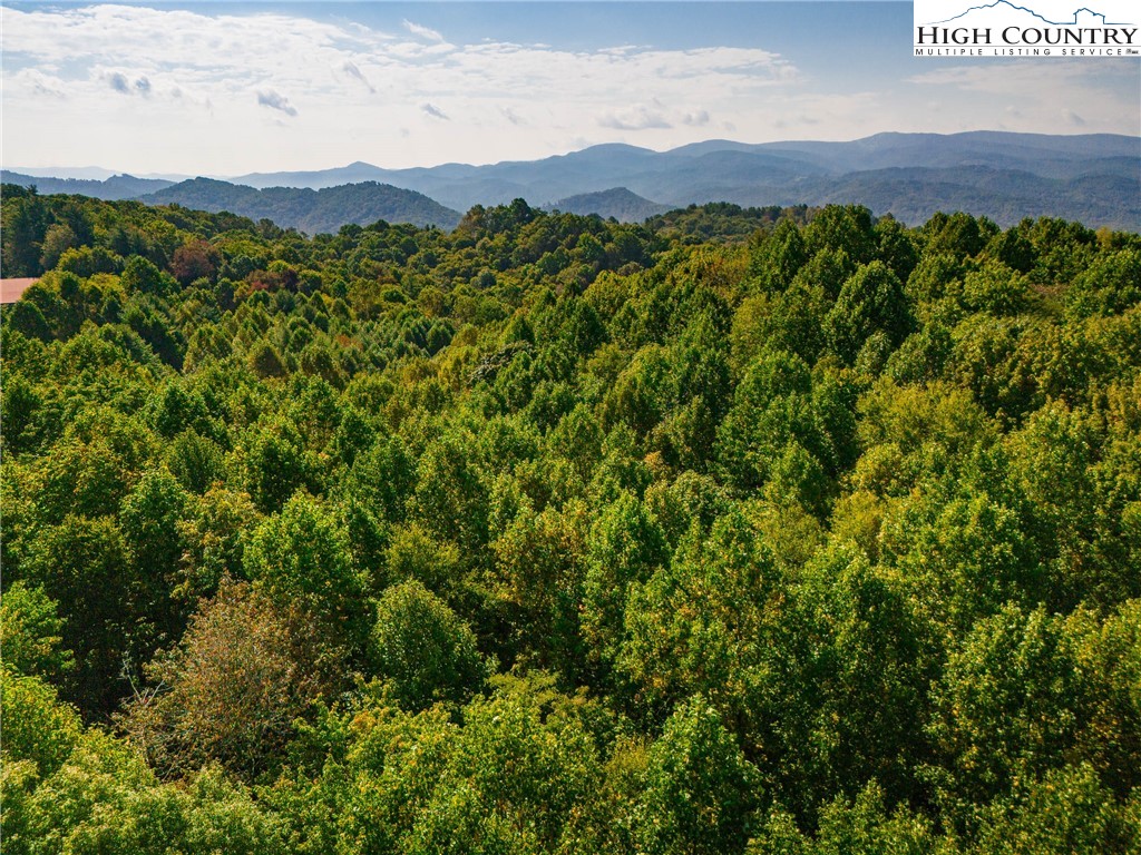 Timber Ridge Road Sugar Grove, NC 28679 - Photo 8 of 25