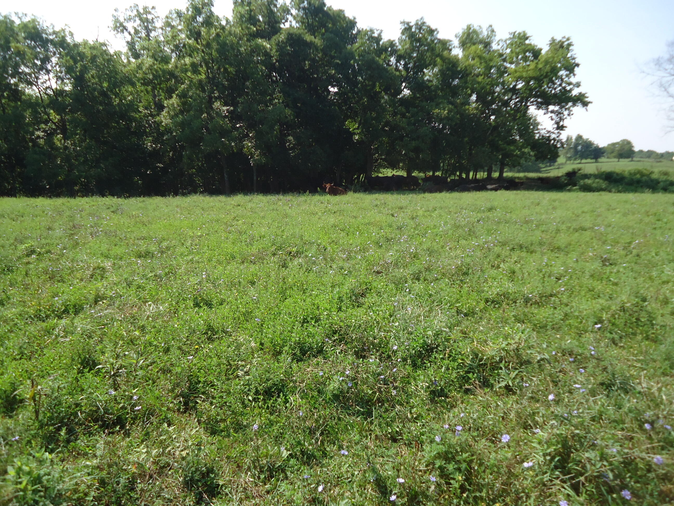 1 Sugar Creek Road Lancaster, KY 40444 - Photo 20 of 36 DSC01878