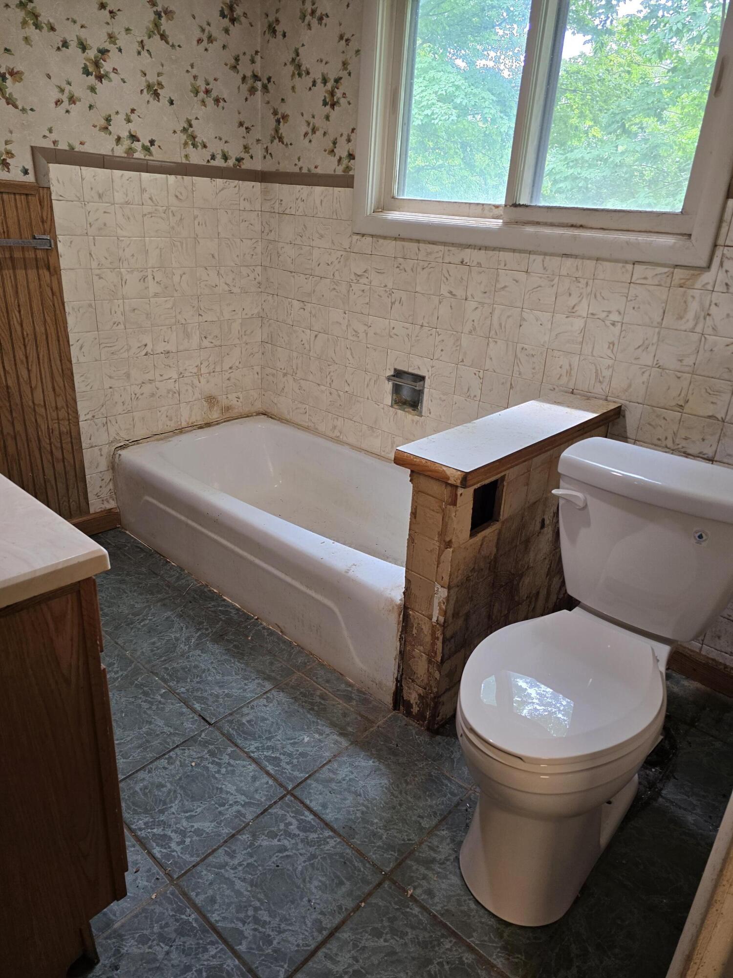 8733 South Cochran Road Charlotte, MI 48813 - Photo 28 of 30 20260624_131705