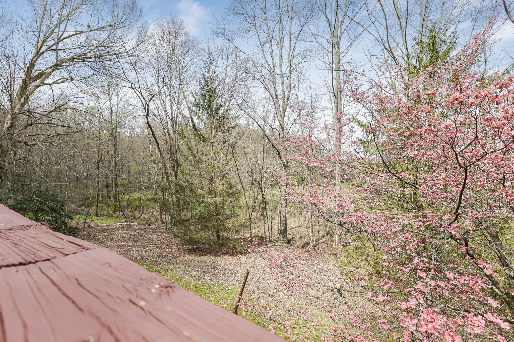4830 Old Logan Road Southeast Lancaster, OH 43130 - Photo 8 of 51 8-web-or-mls-_S5A3144