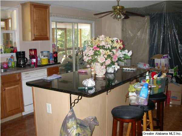 14329 Rockhouse Road Brookwood, AL 35444 - Photo 9 of 21