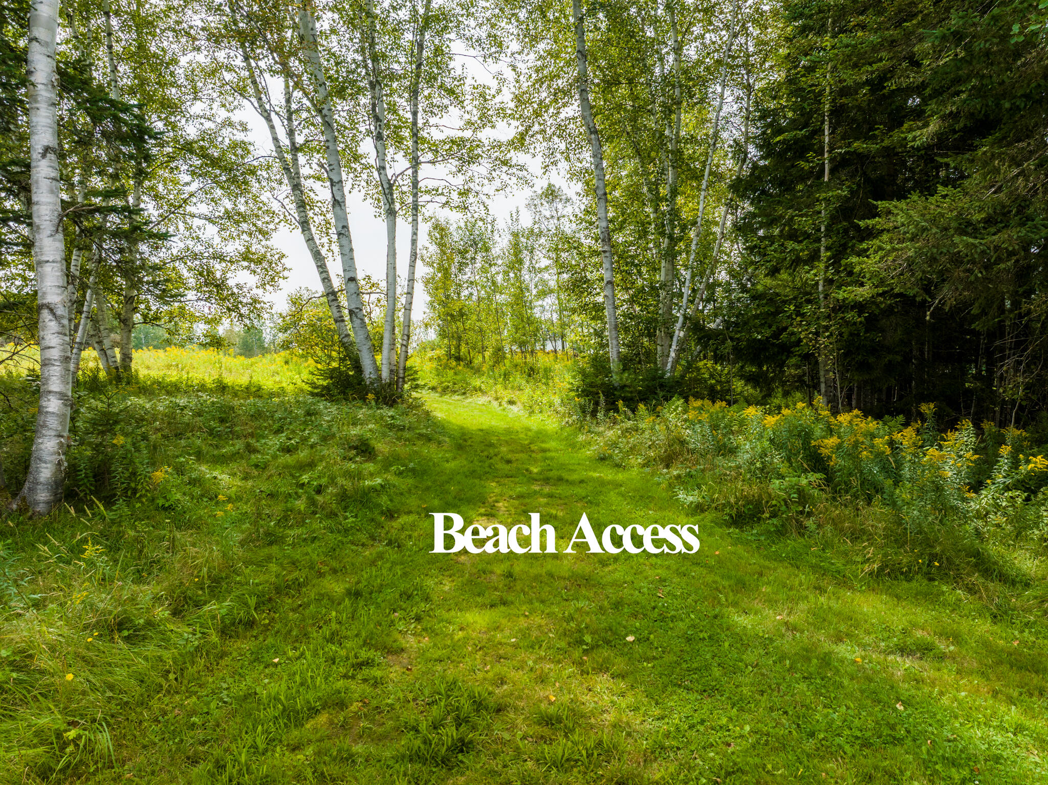 13 Marbles Way Rangeley, ME 04970 - Photo 6 of 12 Marbles-16