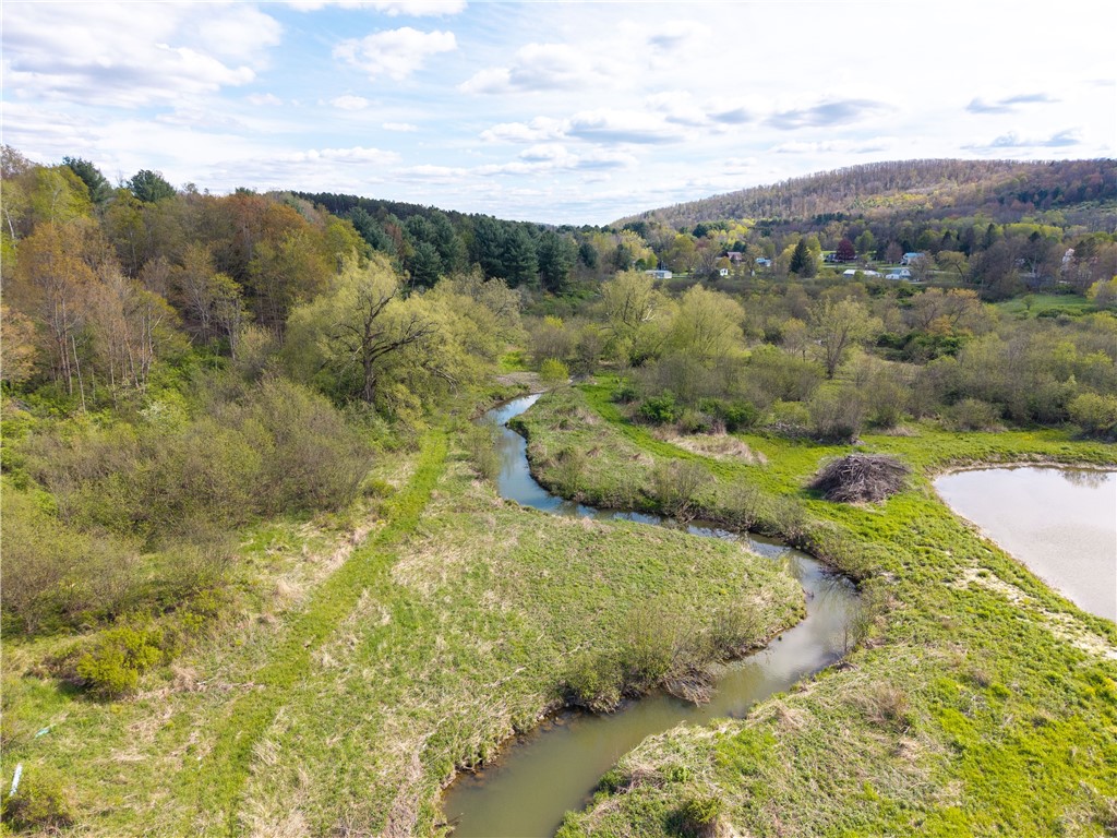 0 County Route 13 Bath, NY 14810 - Photo 16 of 26