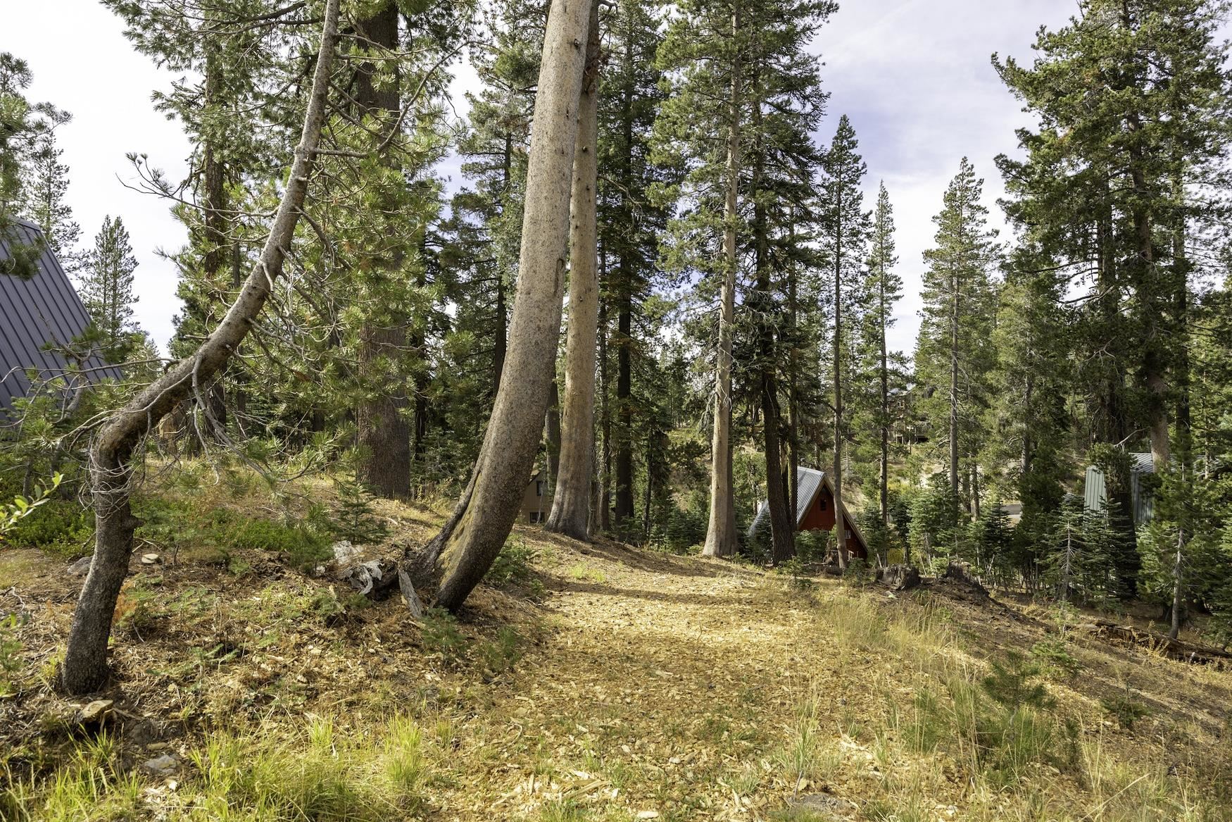 8141 Soda Springs Road Soda Springs, CA 95728 - Photo 10 of 11 Gallery Image 10
