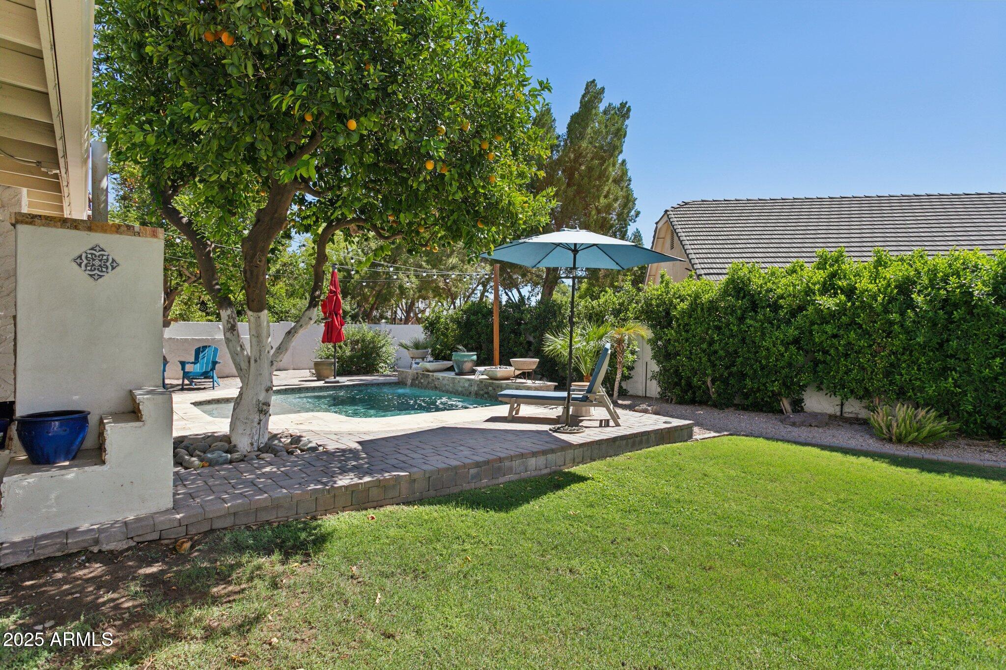 2346 North Kachina Mesa, AZ 85203 - Photo 40 of 60 Backyard