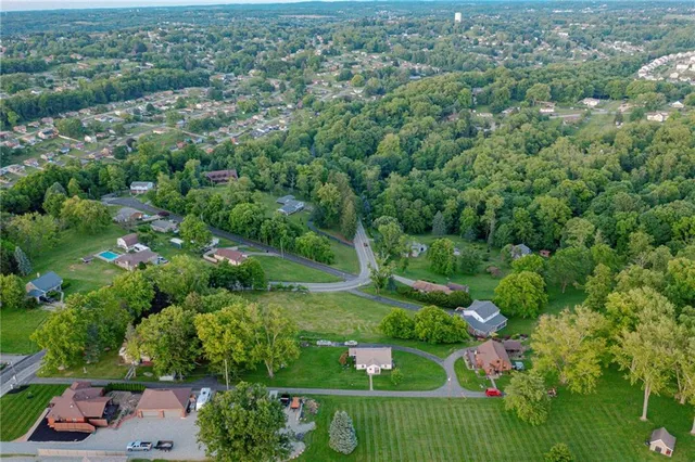 an aerial view of green landscape with trees houses and mountain view