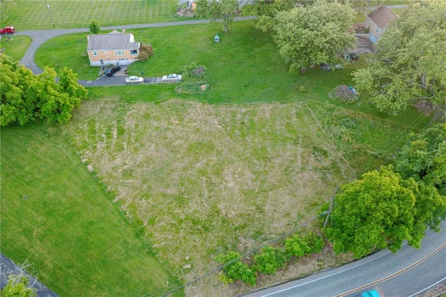 a backyard of a house with lots of green space and plants