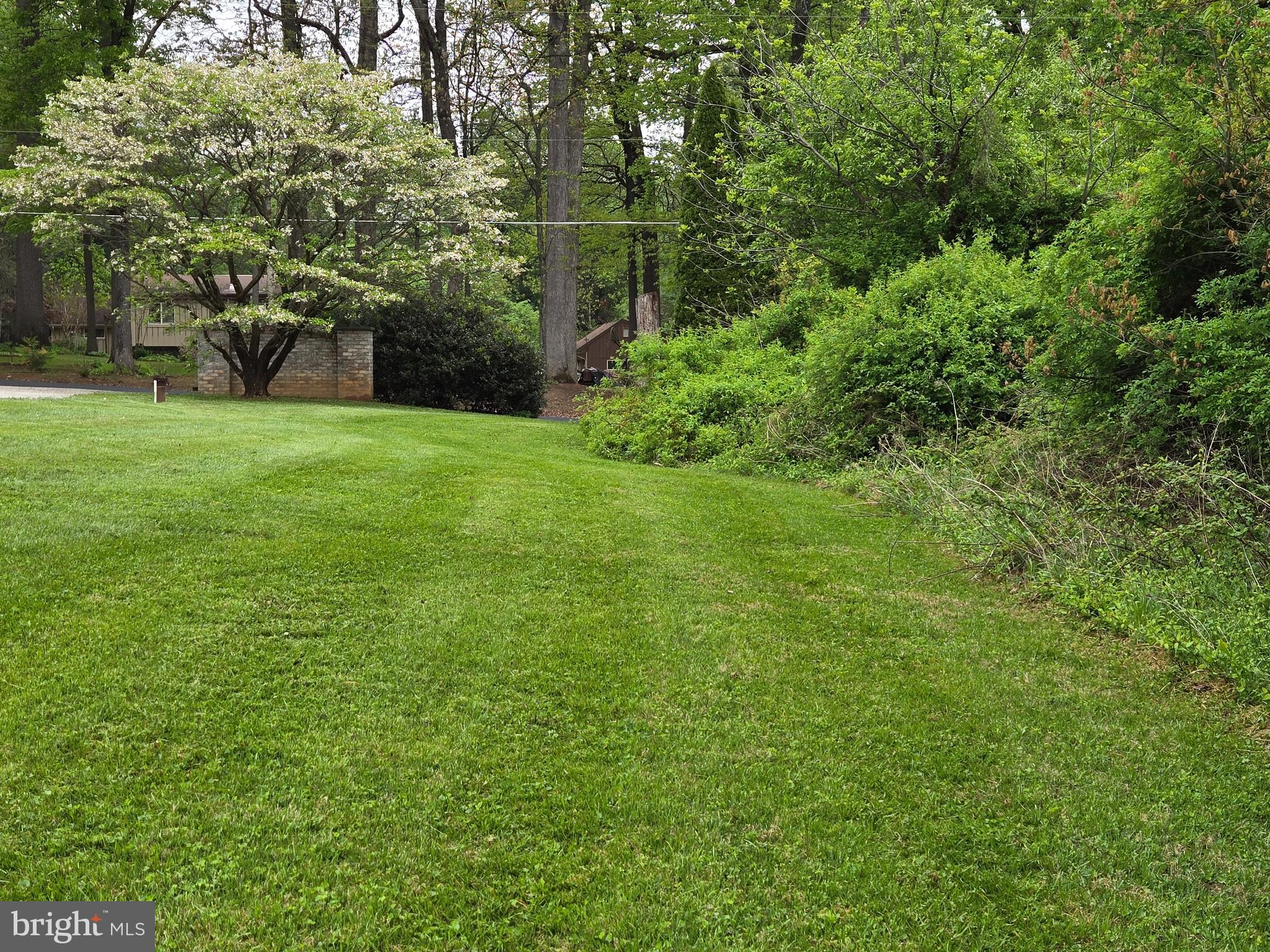 3314 Charles Street Fallston, MD 21047 - Photo 11 of 26 a view of a backyard with large trees