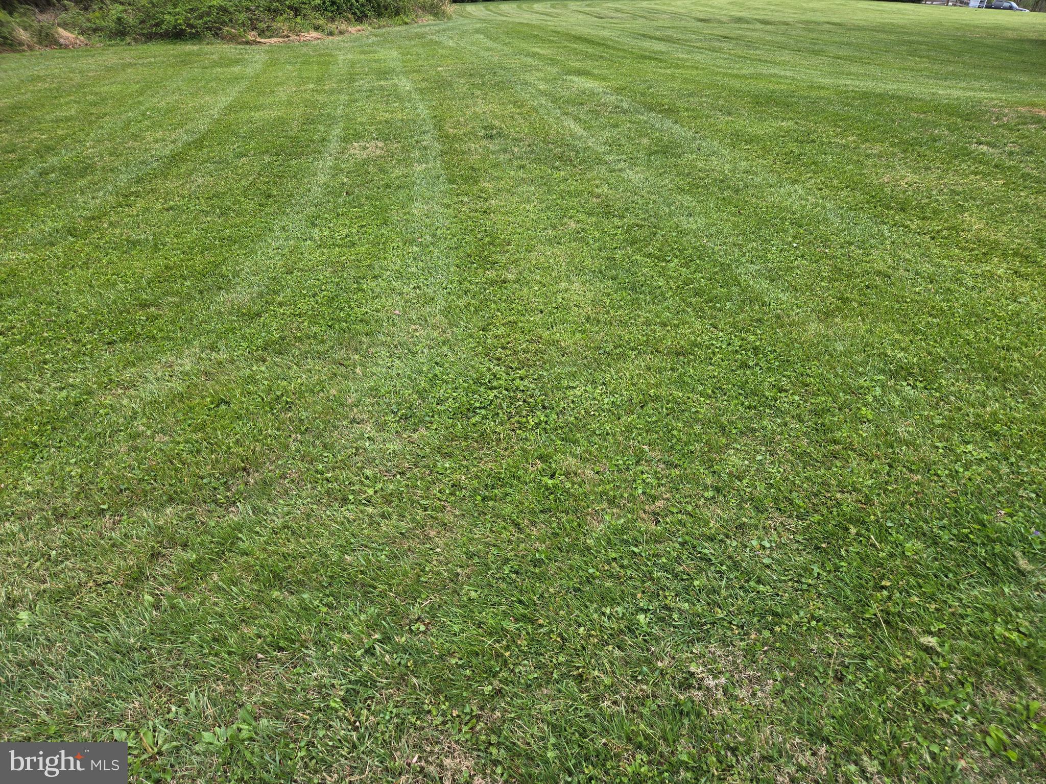 3314 Charles Street Fallston, MD 21047 - Photo 12 of 26 a view of a yard with an outdoor space