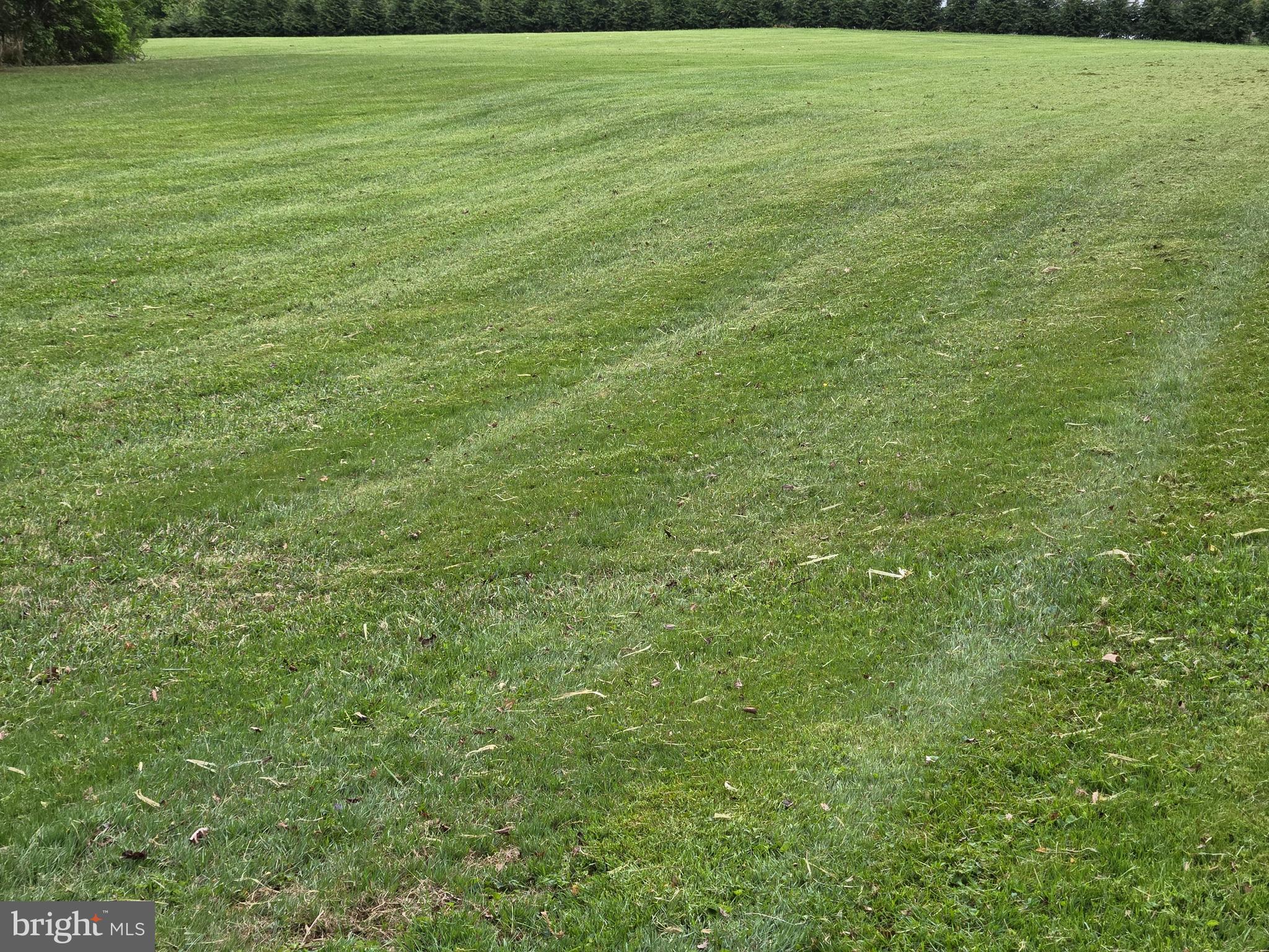 3314 Charles Street Fallston, MD 21047 - Photo 13 of 26 a view of a green field