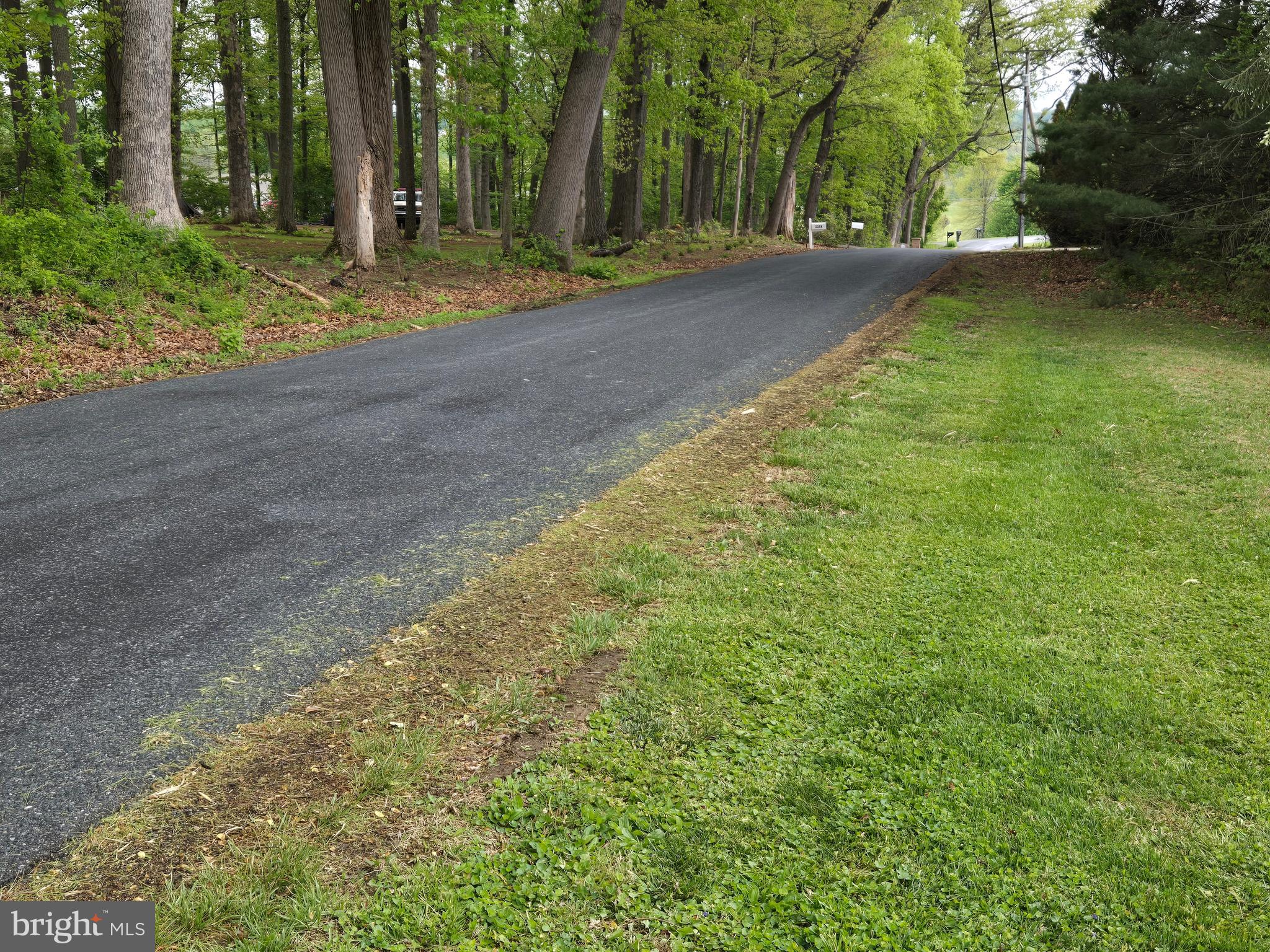 3314 Charles Street Fallston, MD 21047 - Photo 14 of 26 a view of outdoor space with trees
