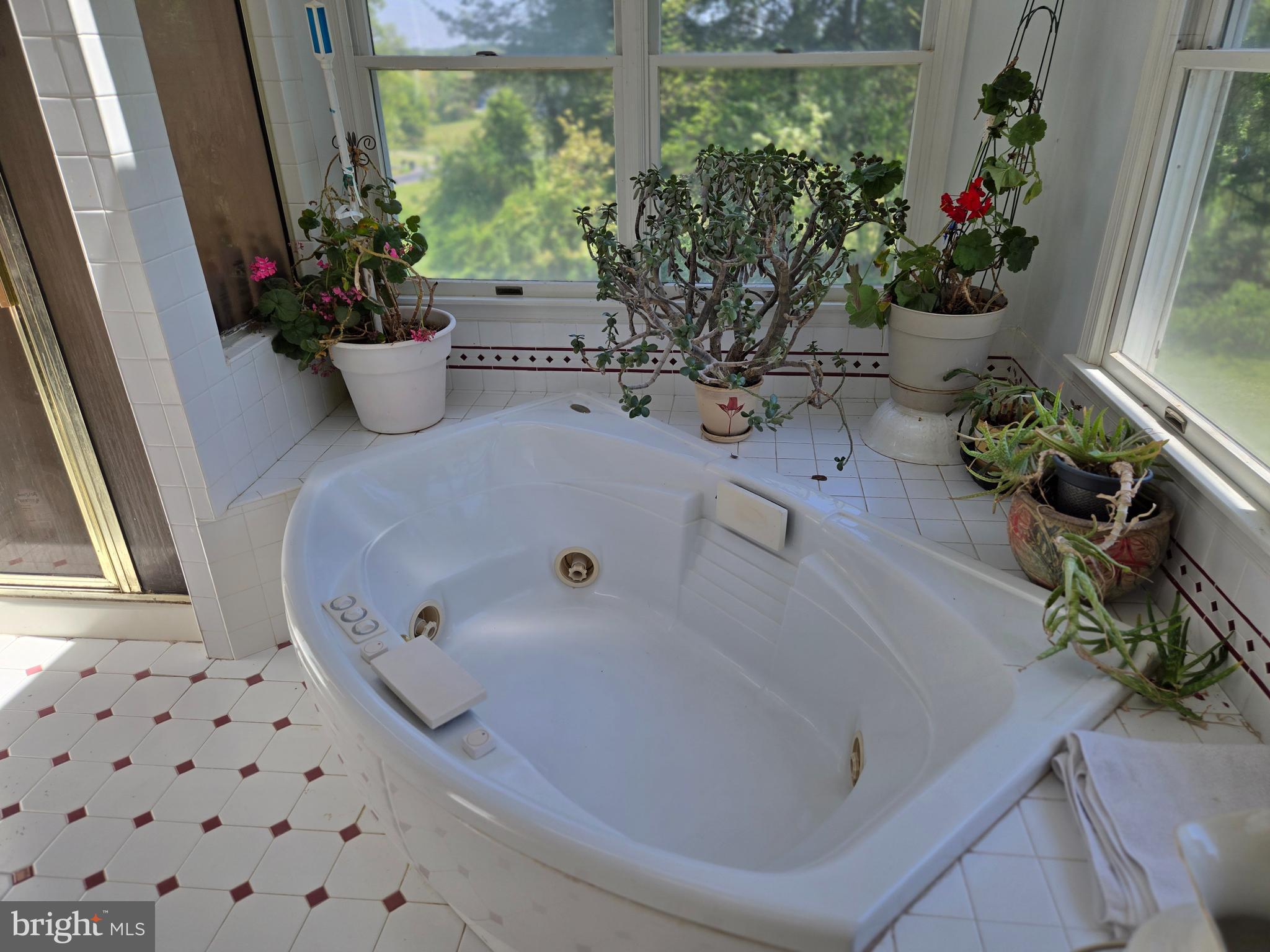 3314 Charles Street Fallston, MD 21047 - Photo 23 of 26 a white bath tub sitting in a vase of flowers
