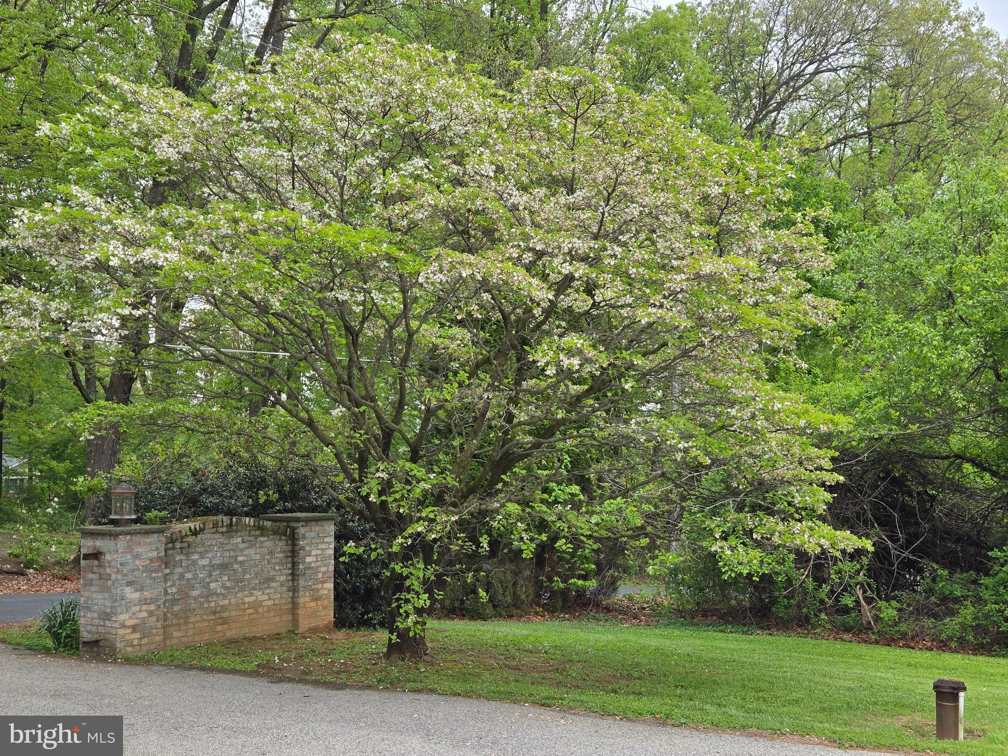 3314 Charles Street Fallston, MD 21047 - Photo 10 of 26 a view of a yard