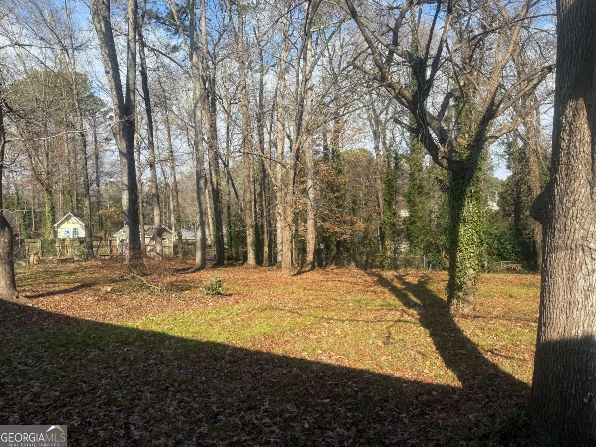 3112 North Avenue Decatur, GA 30033 - Photo 50 of 52 a view of outdoor space yard and patio