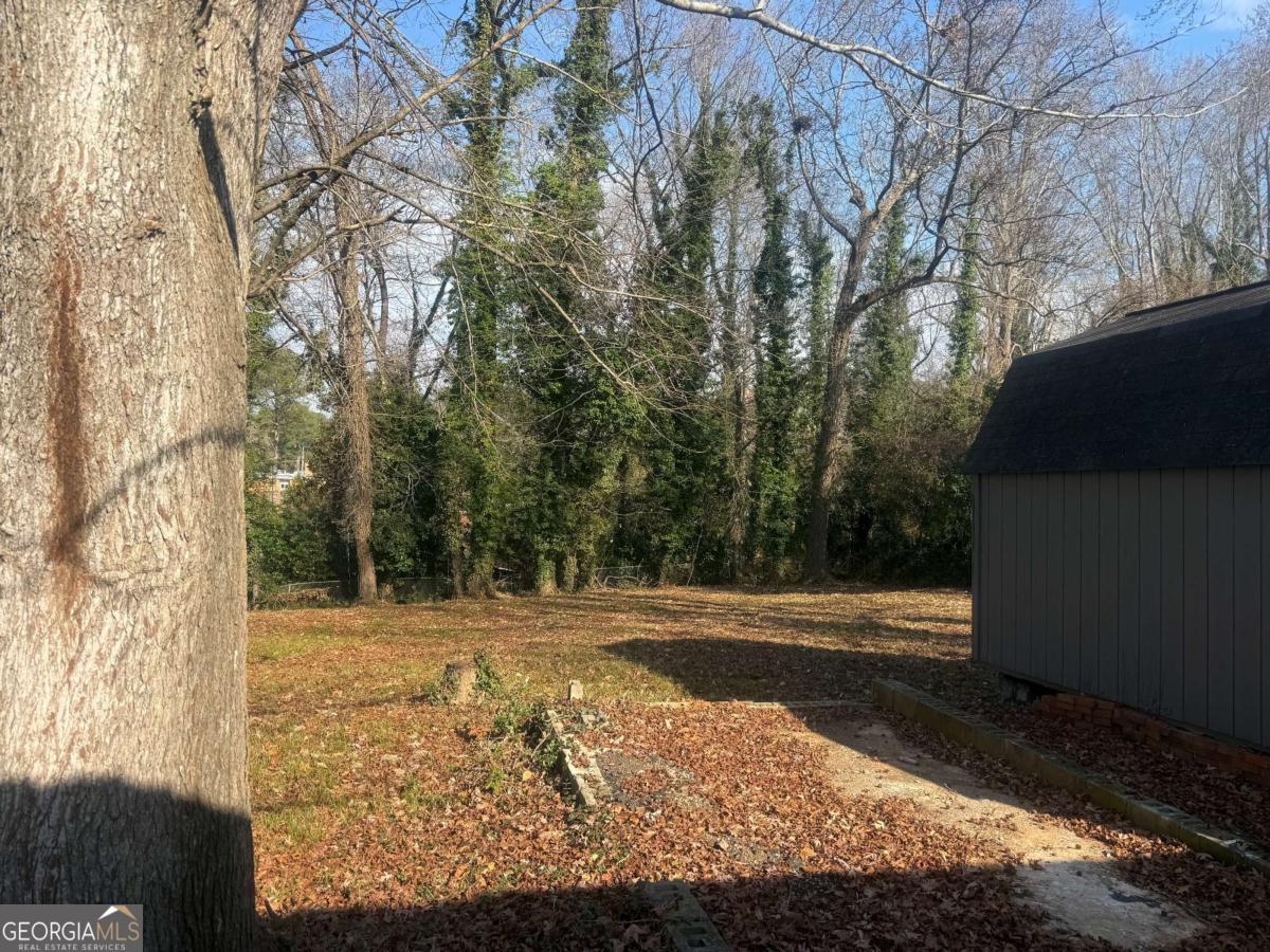 3112 North Avenue Decatur, GA 30033 - Photo 51 of 52 a view of yard with trees