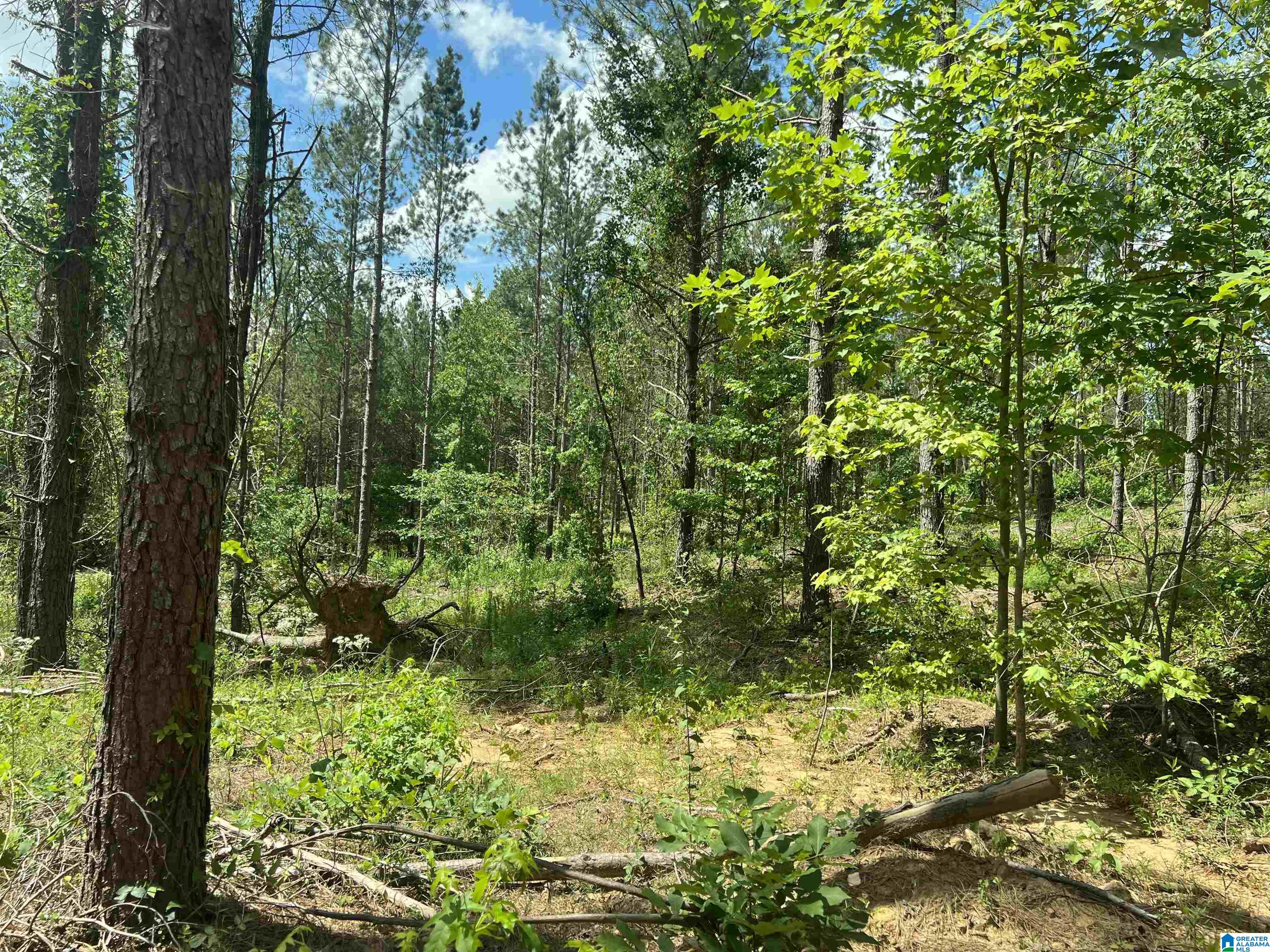 0 County Road 689, Unit 1 Ranburne, AL 36273 - Photo 16 of 69