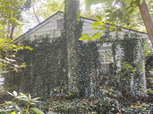 a view of a back yard