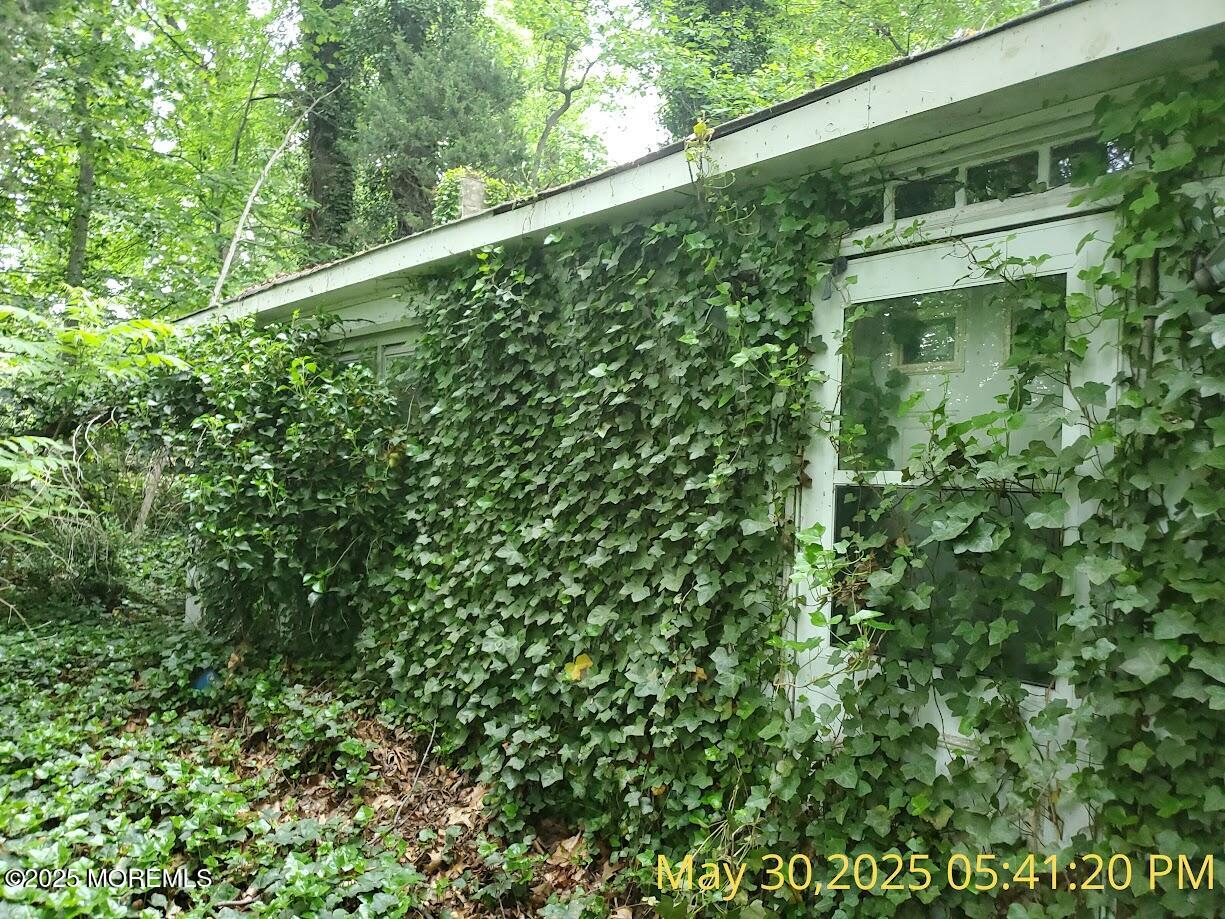 119 A Brindletown Road Cookstown, NJ 08533 - Photo 4 of 12 a close up of a plant in a garden