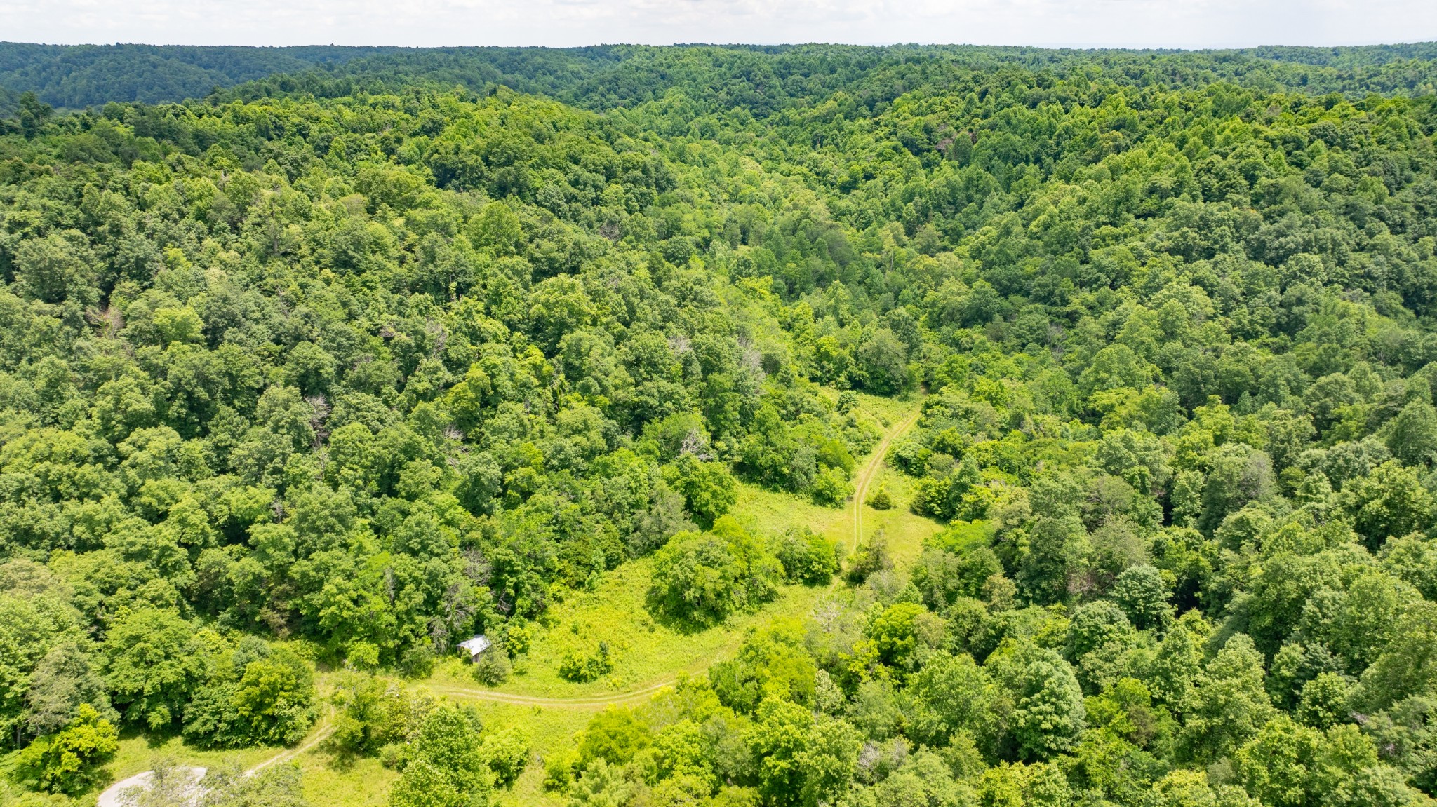 582 Cedar Bend Road Beechgrove, TN 37018 - Photo 26 of 32