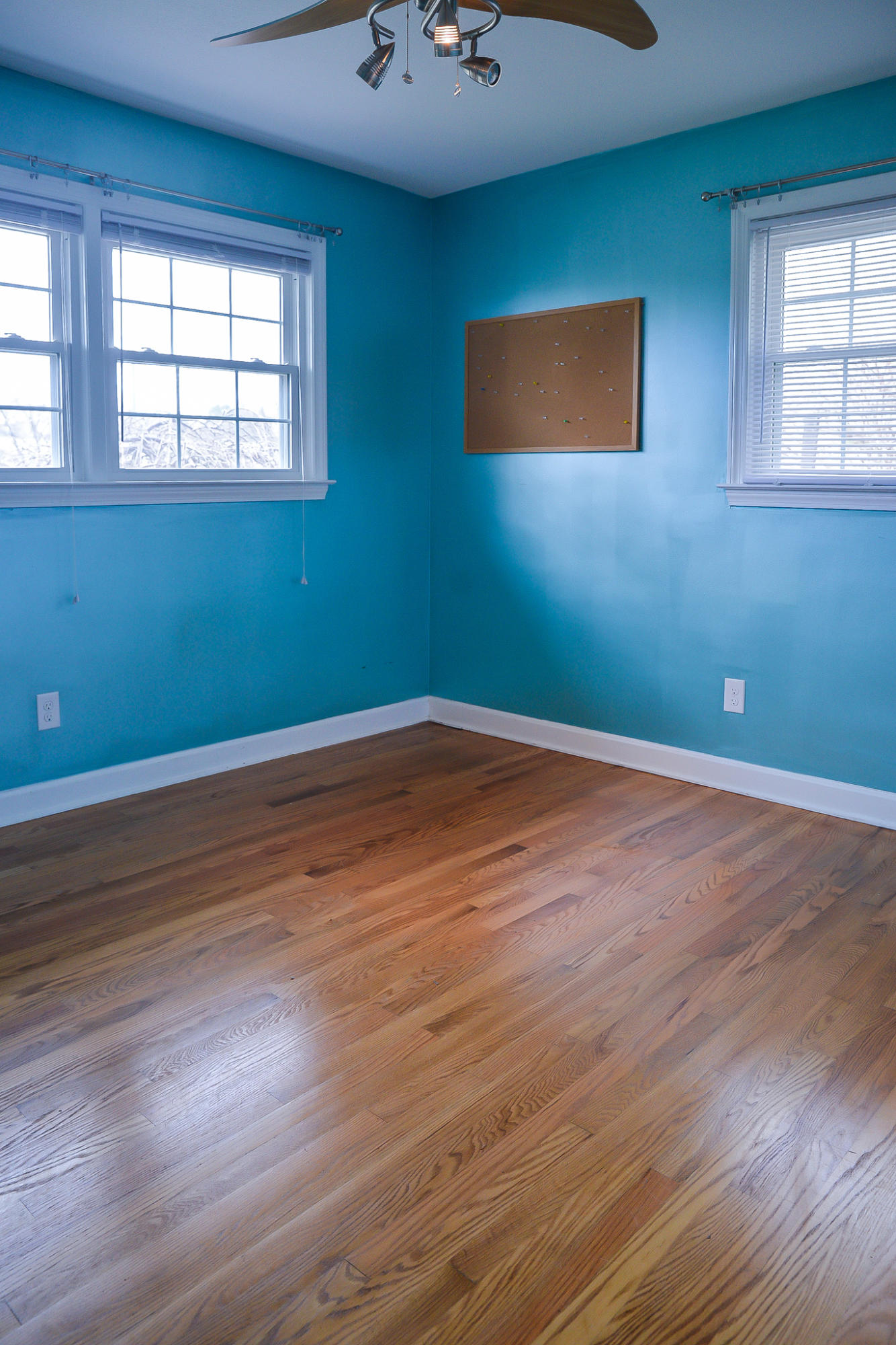 206 Knob Road Greeneville, TN 37745 - Photo 23 of 29 DSC_7441