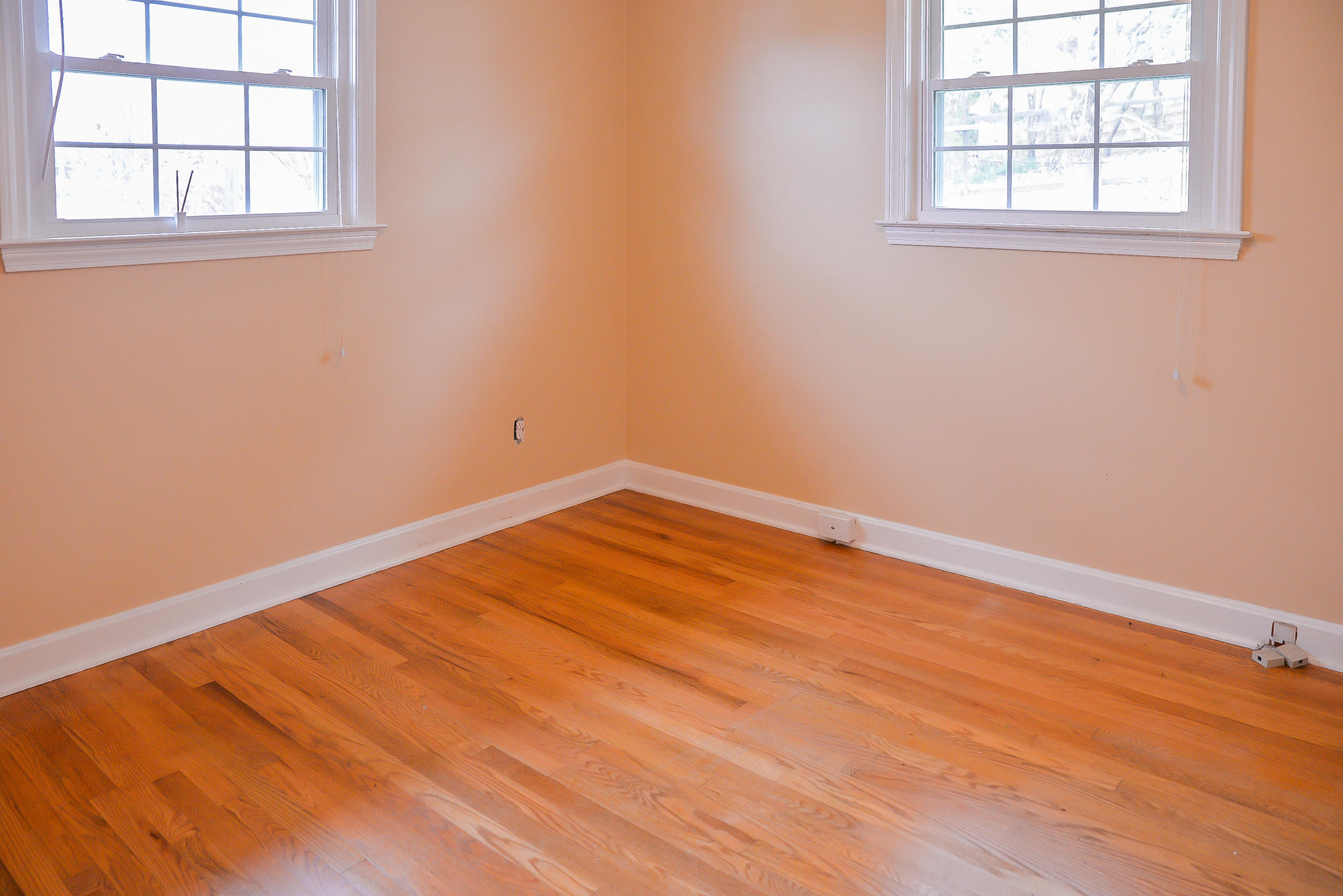 206 Knob Road Greeneville, TN 37745 - Photo 24 of 29 DSC_7435
