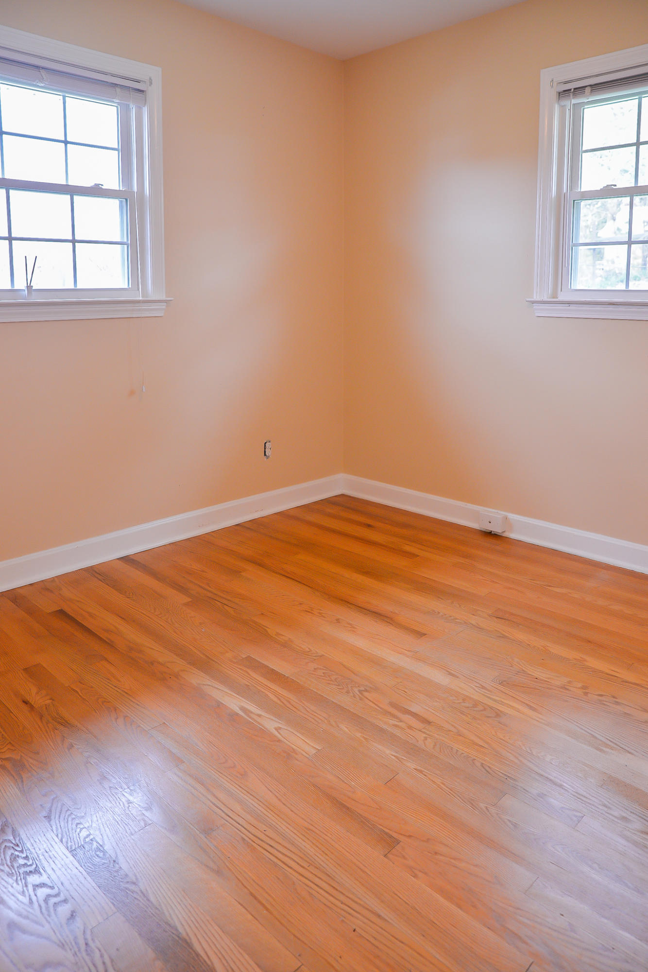 206 Knob Road Greeneville, TN 37745 - Photo 25 of 29 DSC_7437