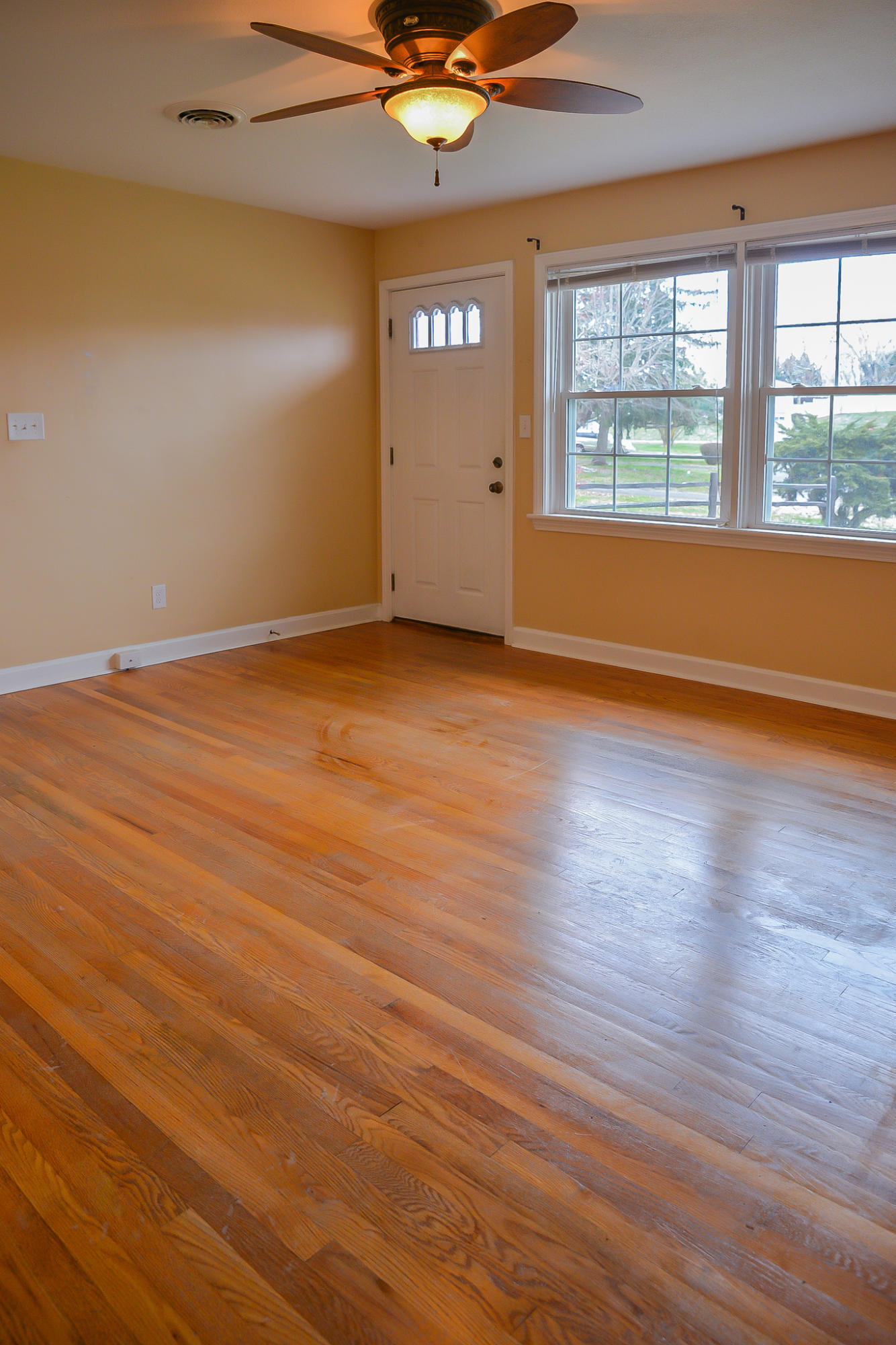 206 Knob Road Greeneville, TN 37745 - Photo 6 of 29 DSC_7444
