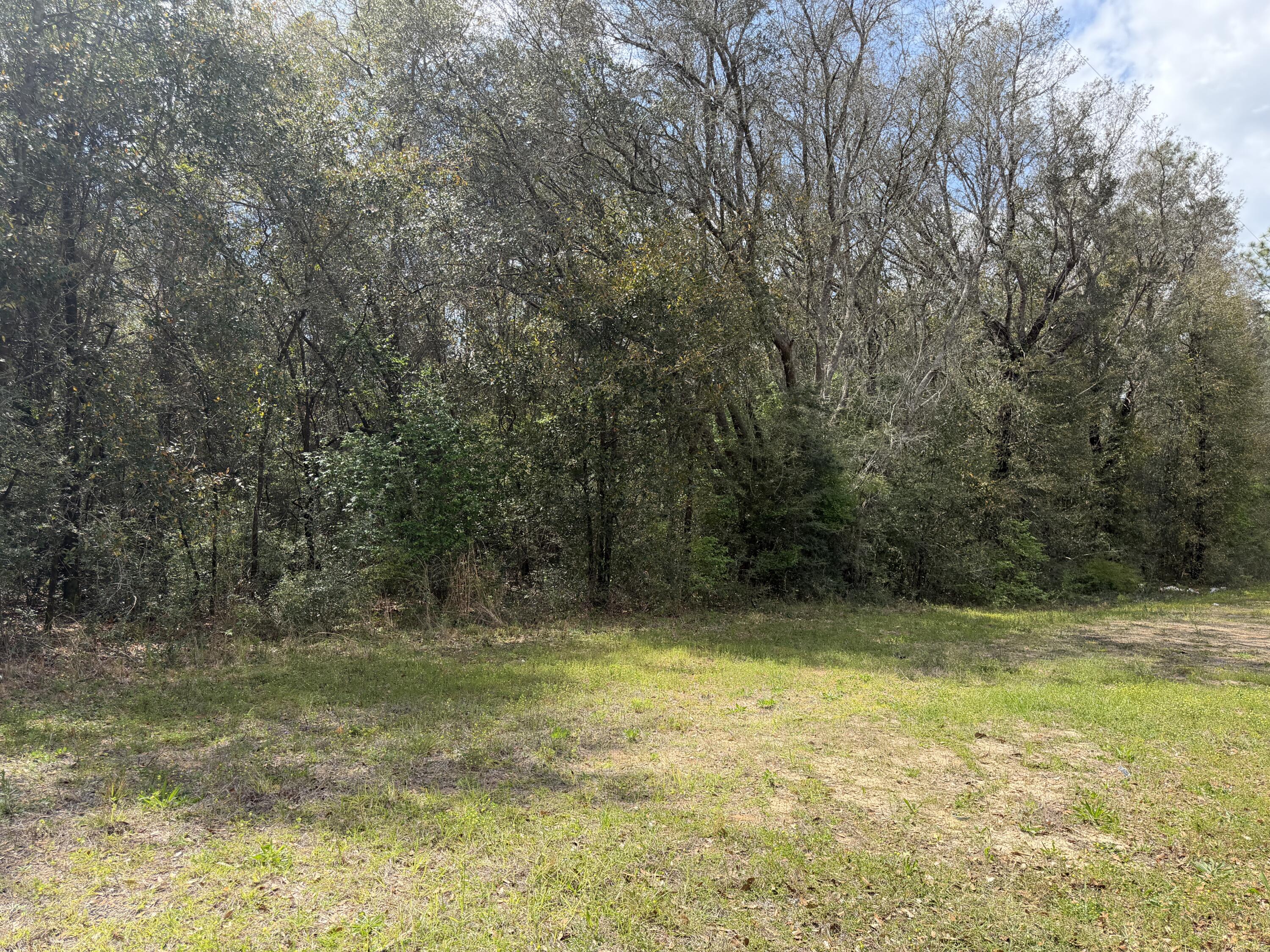 10-ac Broxson Road Holt, FL 32564 - Photo 3 of 6 a view of a swimming pool with a yard