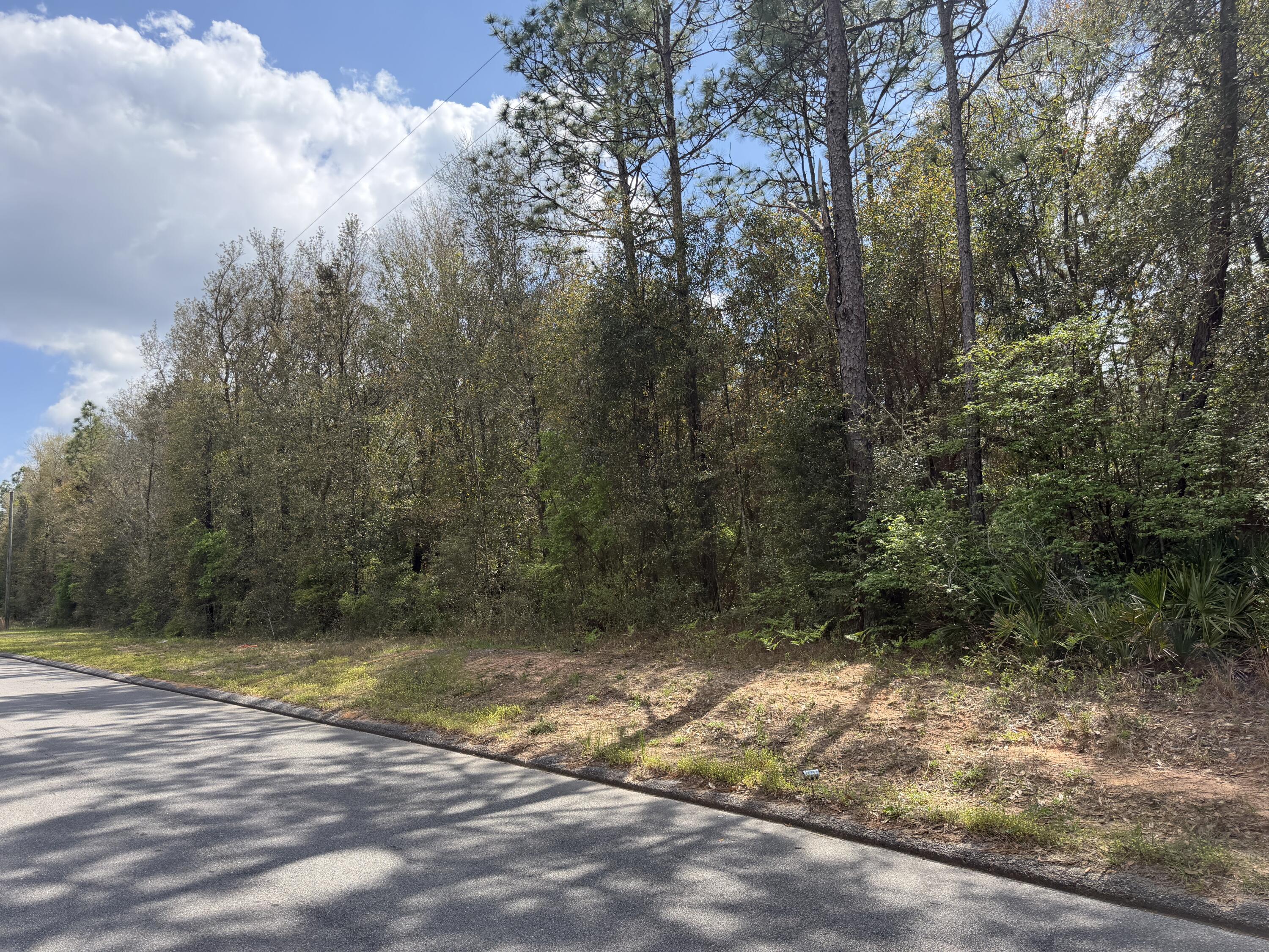 10-ac Broxson Road Holt, FL 32564 - Photo 5 of 6 a view of a yard with trees