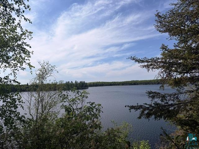 14649 Canadian Border Road Ely, MN 55731 - Photo 5 of 16 View from lower level