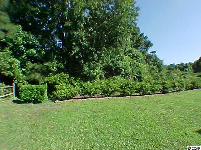 635 Bluebird Lane Murrells Inlet, SC 29576 - Photo 25 of 25