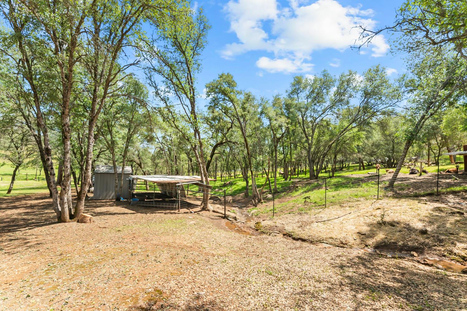 5990 Upper Ridge Way Auburn, CA 95602 - Photo 37 of 51 a view of backyard with a table and chairs and a large tree