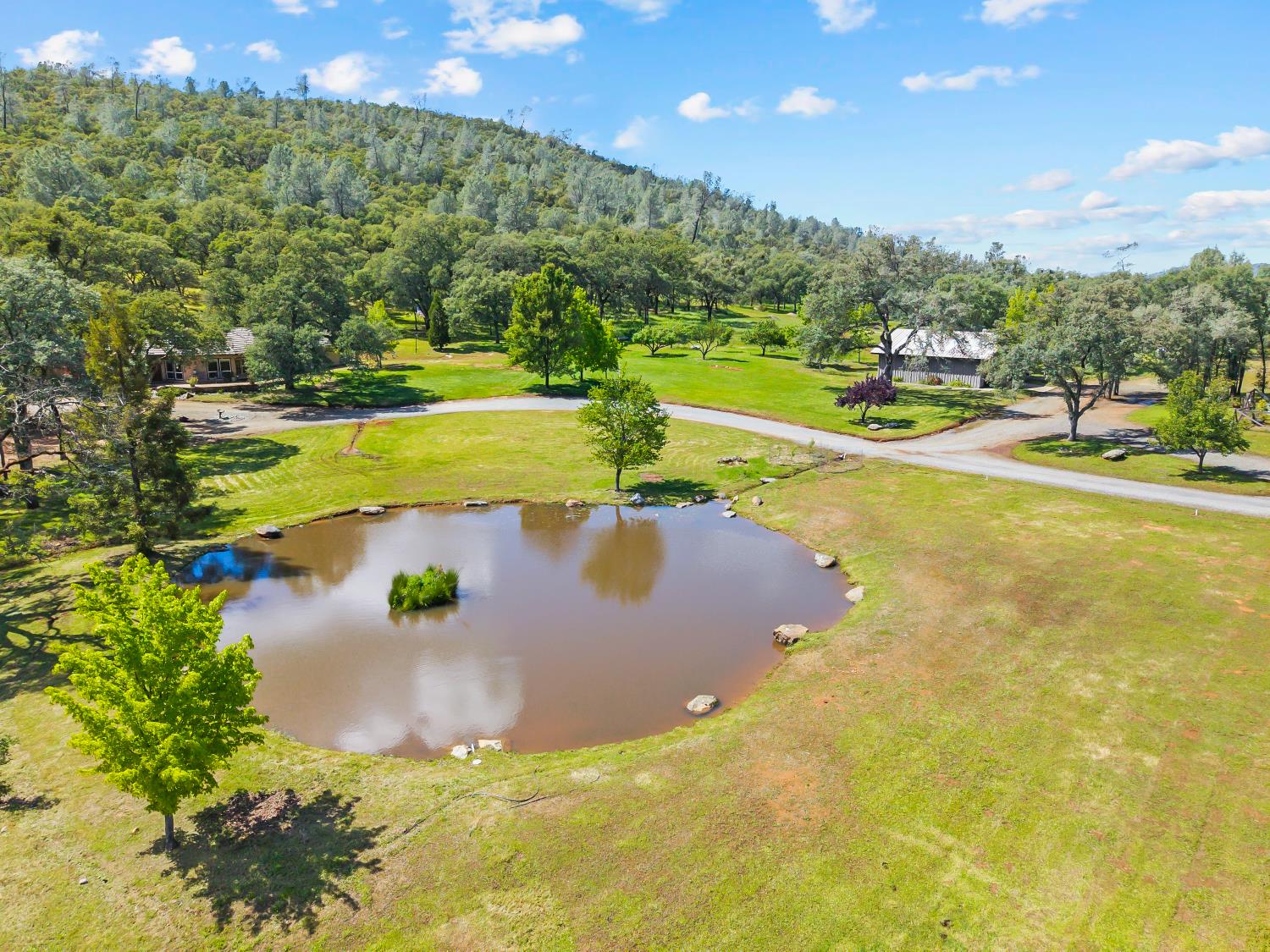 5990 Upper Ridge Way Auburn, CA 95602 - Photo 49 of 51 a view of a swimming pool with an outdoor space and seating area