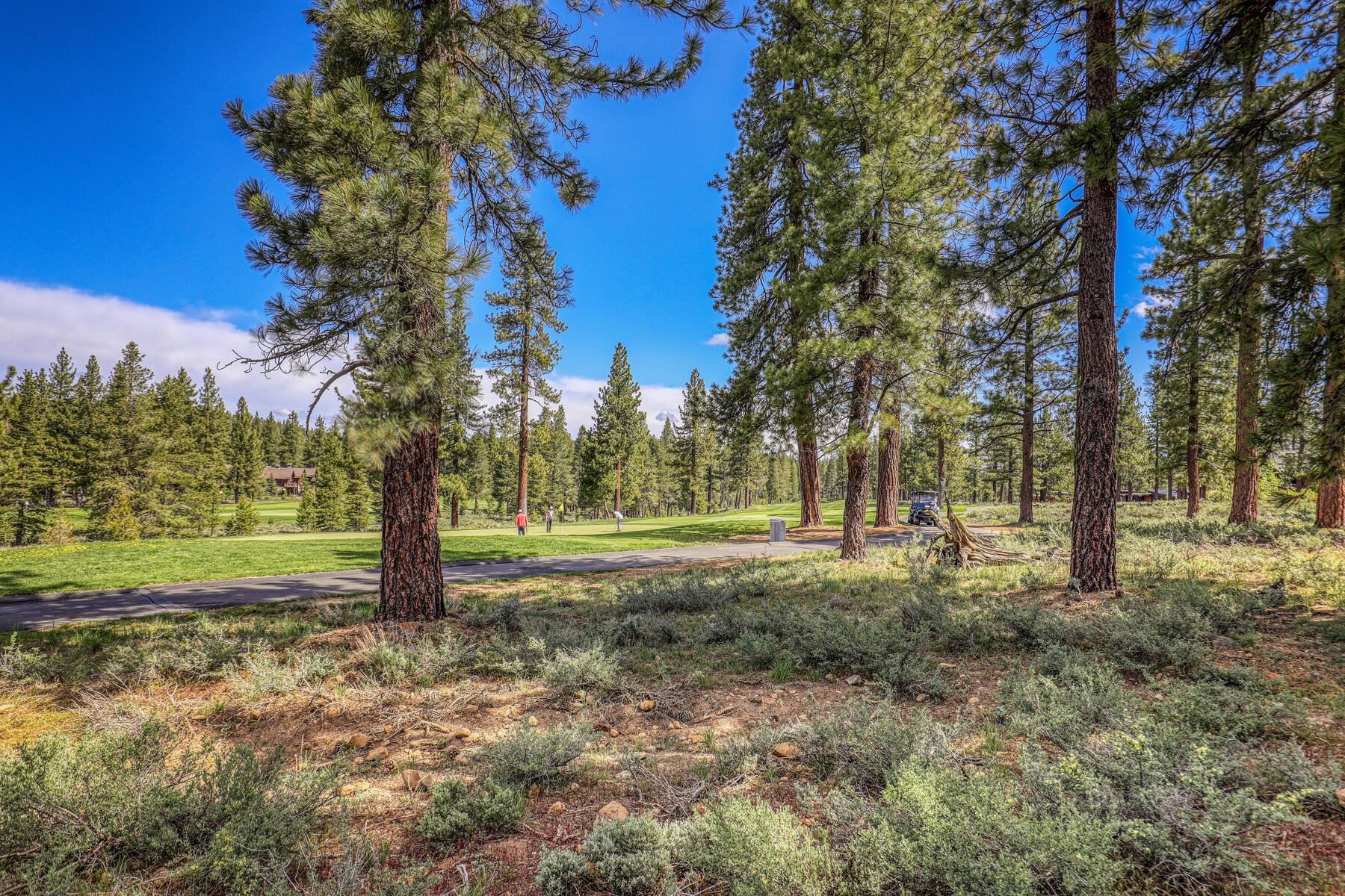 11687 Henness Road Truckee, CA 96161 - Photo 18 of 21 a view of a yard with trees