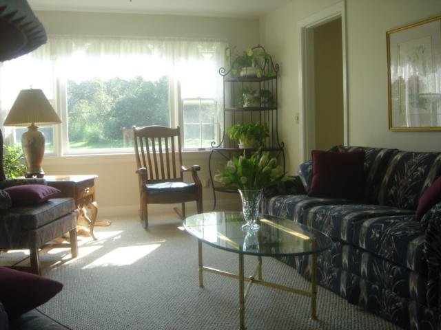 187 Eleanor Road Pittsfield, MA 01201 - Photo 4 of 19 4