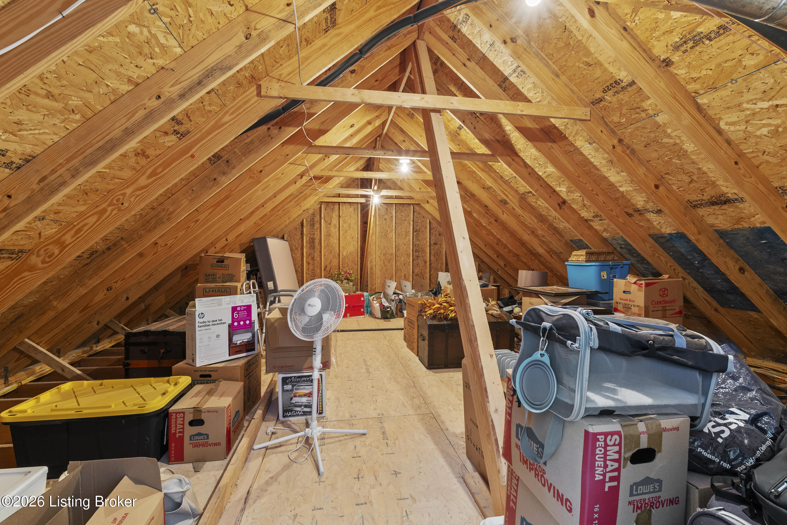 239 Maple Valley Road Louisville, KY 40245 - Photo 46 of 68 Very convenient and extra storage in walk in Attic