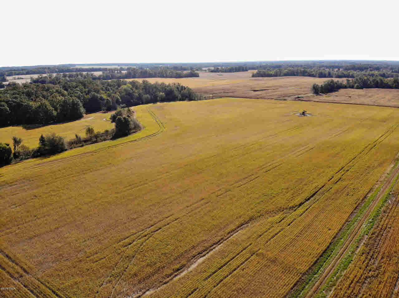 0 Oak Road Texico, IL 62889 - Photo 4 of 10