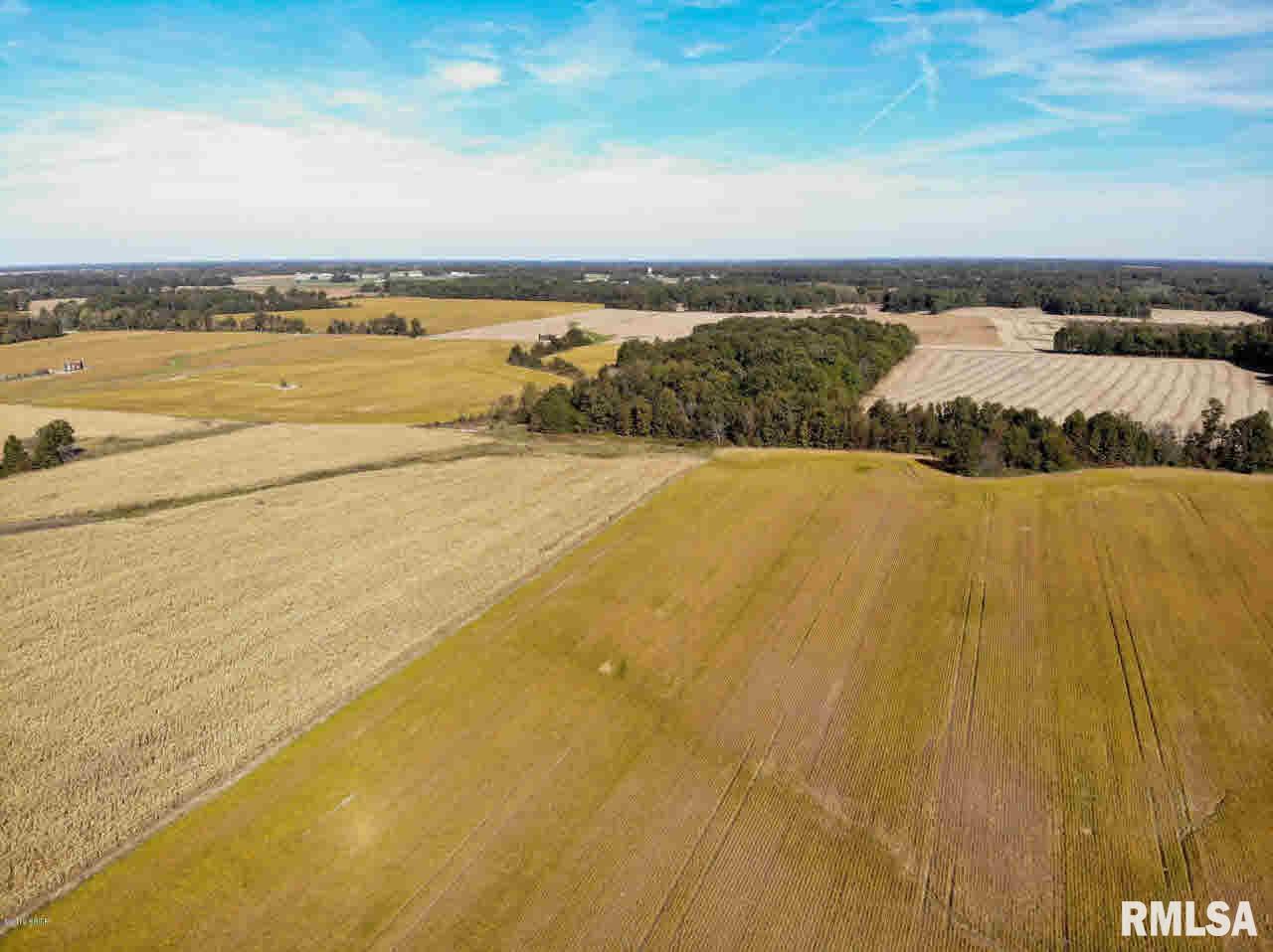 0 Oak Road Texico, IL 62889 - Photo 5 of 10