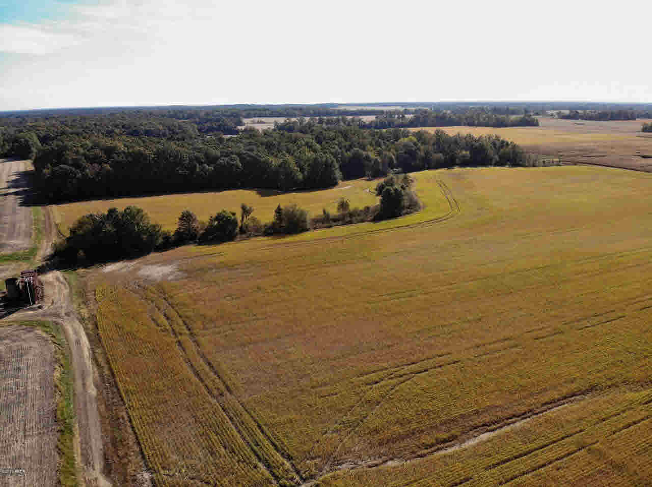 0 Oak Road Texico, IL 62889 - Photo 6 of 10