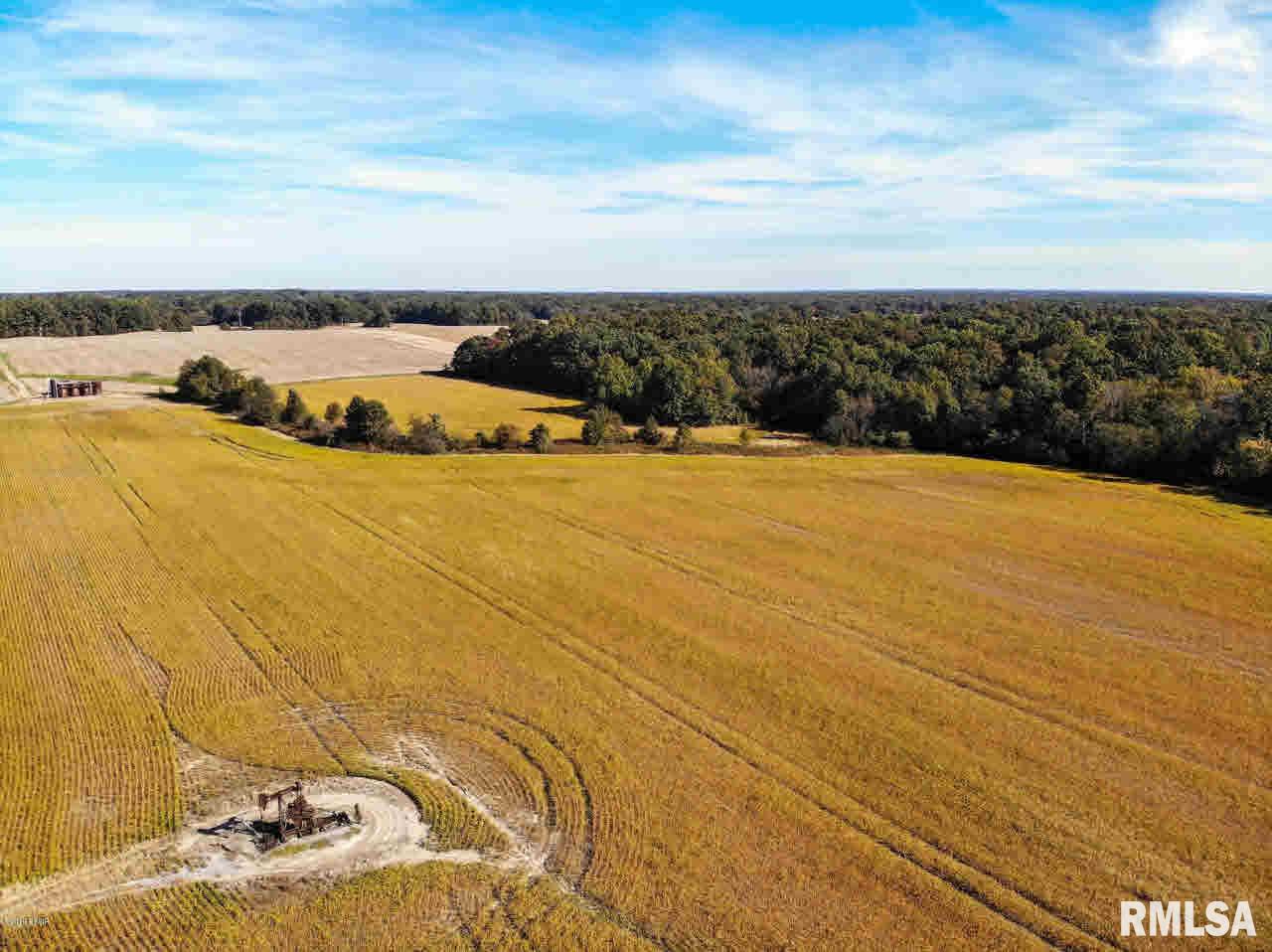 0 Oak Road Texico, IL 62889 - Photo 8 of 10