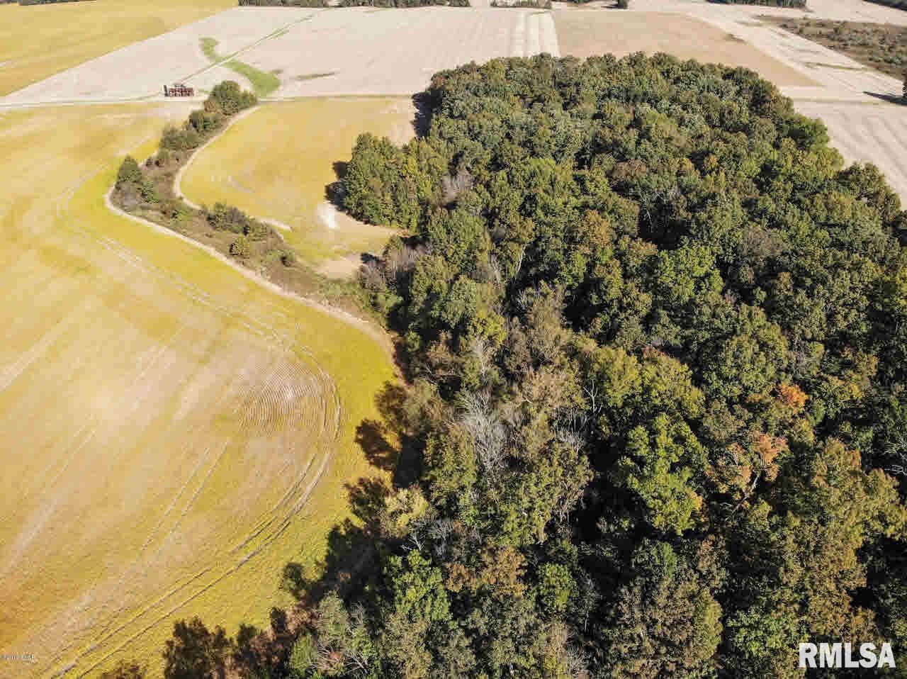 0 Oak Road Texico, IL 62889 - Photo 9 of 10
