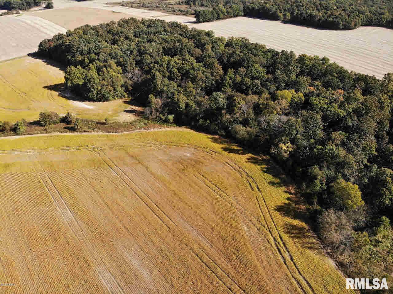 0 Oak Road Texico, IL 62889 - Photo 10 of 10