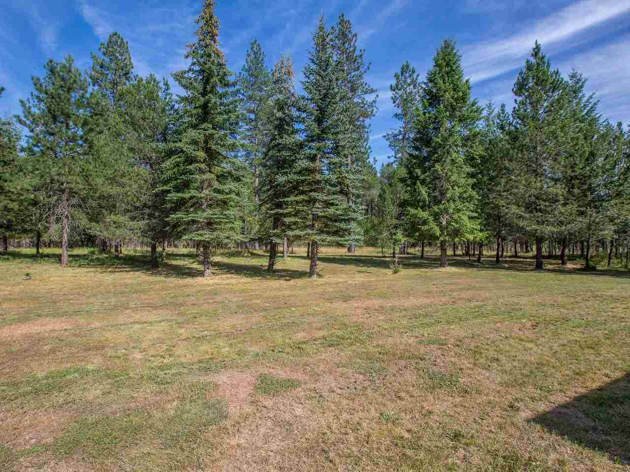 13315 East Oregon Road Elk, WA 99009 - Photo 19 of 20