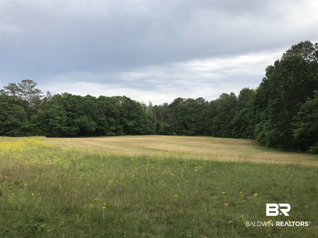 1478 Ridge Road Greenville, AL 36037 - Photo 42 of 50