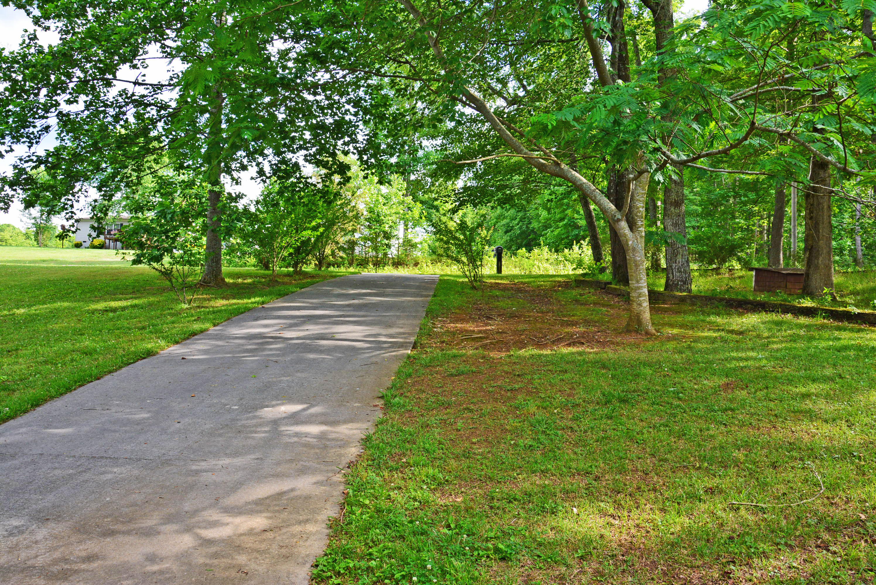 318 White Oak Road, Unit 84 Decatur, TN 37322 - Photo 23 of 26 Driveway