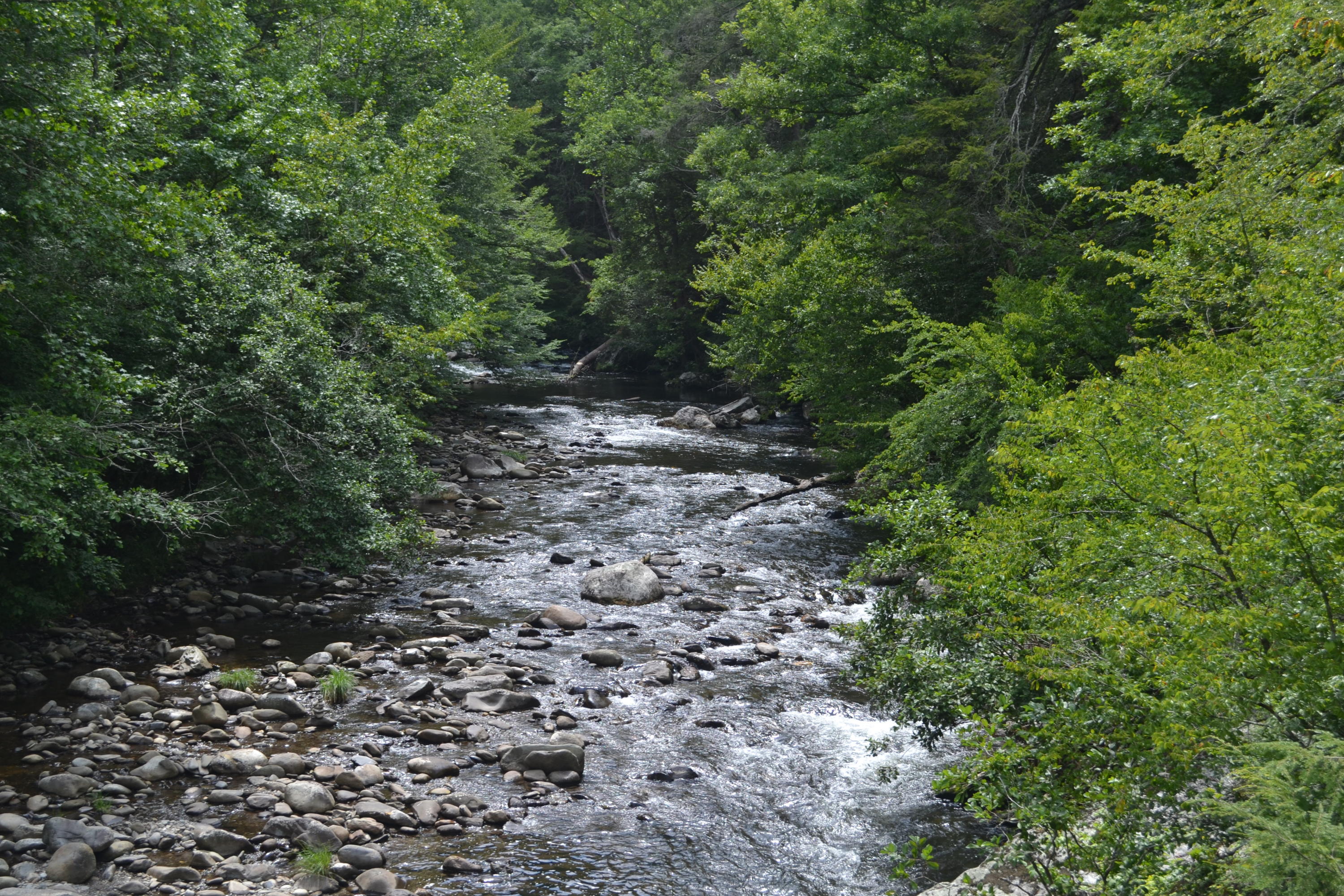 73 Highway, Unit 160 Townsend, TN 37882 - Photo 18 of 23 DSC_0552